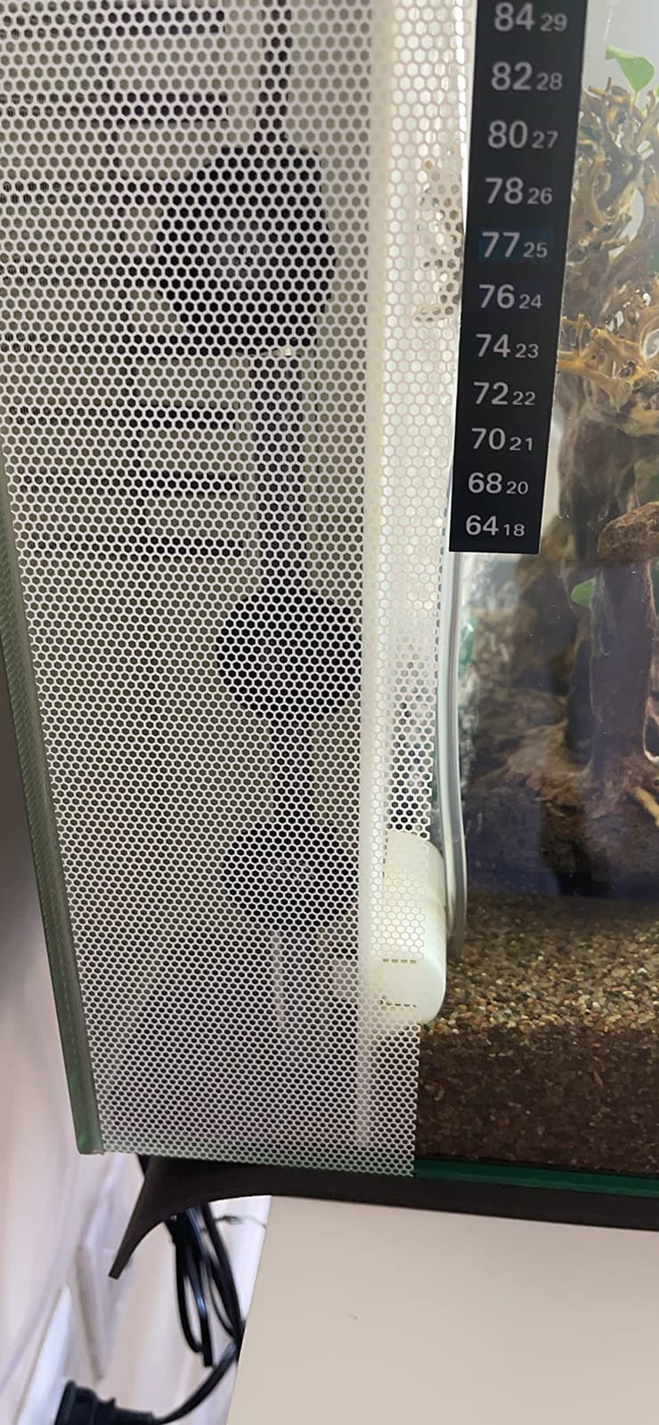 HITOP Compact Submersible Aquarium Heater - 100W Digital Heater for Fish Tank Turtle Tank, for Saltwater and Fresh Water with Temperature Controller customer photo 2