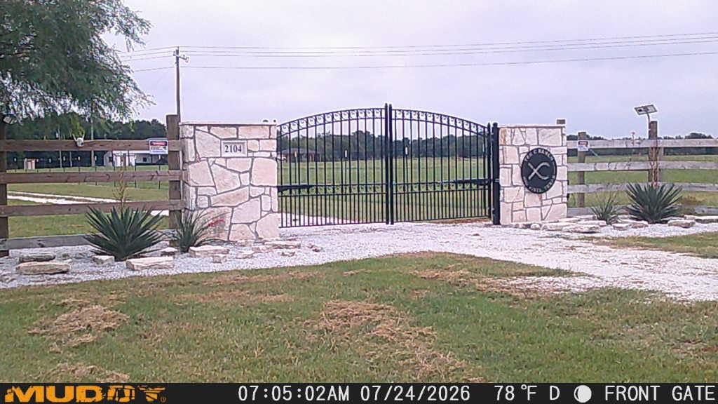 ALEKO Dual Swing Driveway Gate with Opener Kit (16x6 London) DG16LOND | Complete automation package, remote-controlled entry, weather-resistant steel, includes motor arms and control board customer photo 1