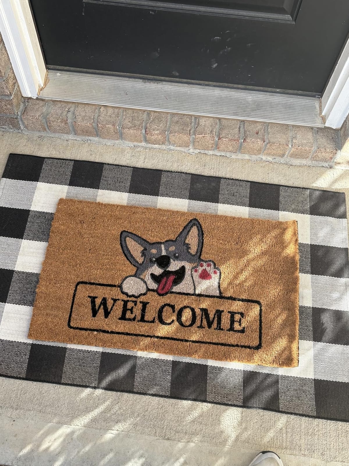 Coir Welcome Mat, Non-Slip, Colorful Birds, 17 x 29 in | 100% Natural Coir, Anti-Shedding, Durable PVC Backing, Traps Dirt and Mud, Indoor and Outdoor Entryway customer photo 1