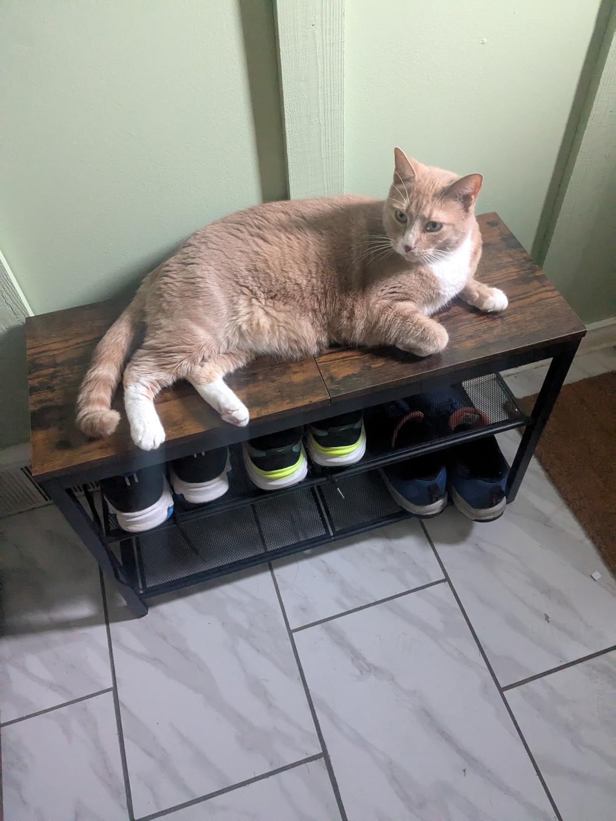 HOOBRO Shoe Bench, 3-Tier Shoe Rack, Industrial Shoe Organizer Storage Bench, 29.5 inches Entry Bench with Mesh Shelves, for Entryway, Living Room, Hallway, Easy Assembly, Rustic Brown BF75HX01 customer photo 2