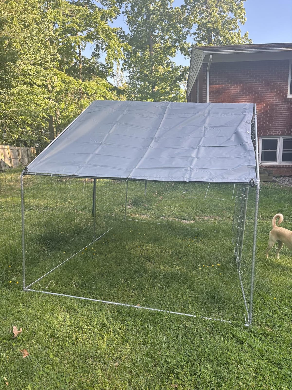 Large Metal Chicken Coop Round Top Upgrade Tri-Supporting Wire Mesh Chicken Run, Chicken Pen with Water-Resident and Anti-UV Cover, Duck Rabbit House Outdoor (19'L x 9'W x 6.5'H) customer photo 2