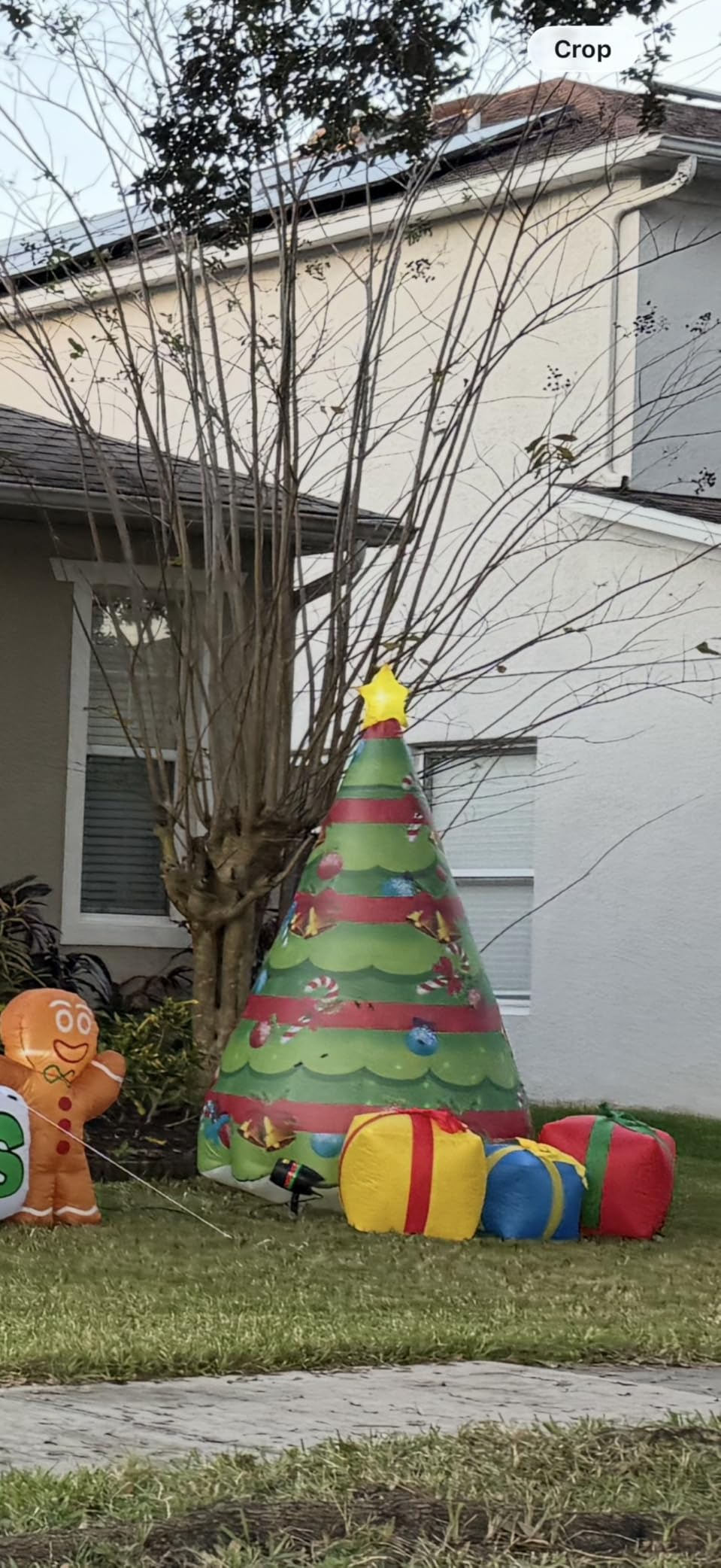 7 FT Christmas Inflatables Tree Outdoor Decorations Blow Up Yard Present Box with Built-in LEDs for Indoor Party Garden Lawn Decor customer photo 1