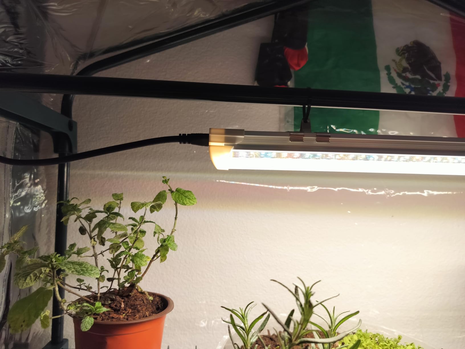 Bstrip Indoor Greenhouse with Grow Light, 4-Tier Mini Greenhouse Indoor | 2FT Dimmable Plant Light with Timer, 4x15W, Zippered PVC Tent for Indoor Plants, 26.8x19.3x61.8in, Seed Starting Greenhouse customer photo 2