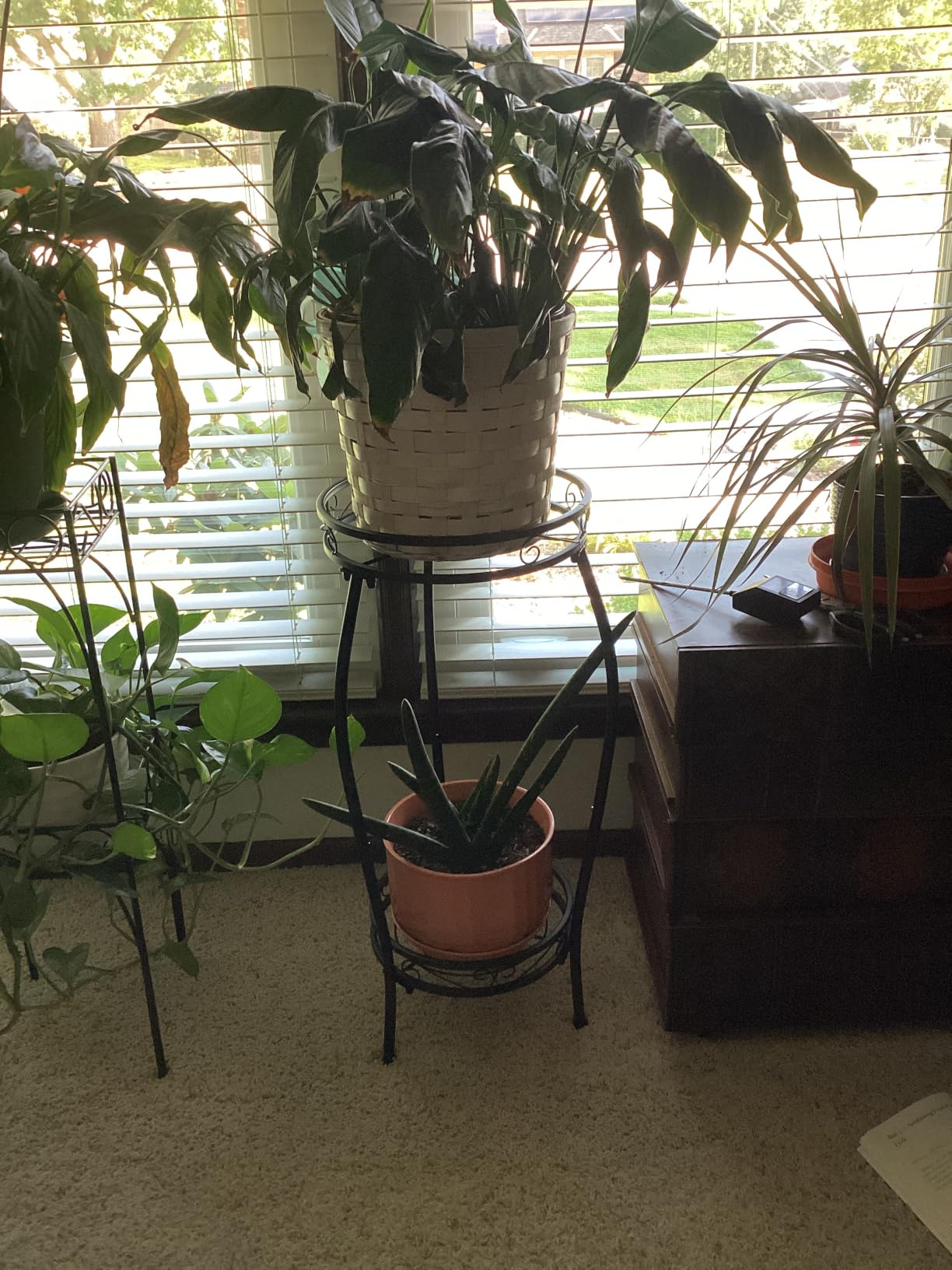 Kavlium Plant Stand Indoor Outdoor, Tall Black Metal, 2 Tier 27.1 Inch, Rustproof Metal, Stable 3-Leg Base, Heavy Duty 100 lb Capacity, Multiple Plant Rack Holder customer photo 2