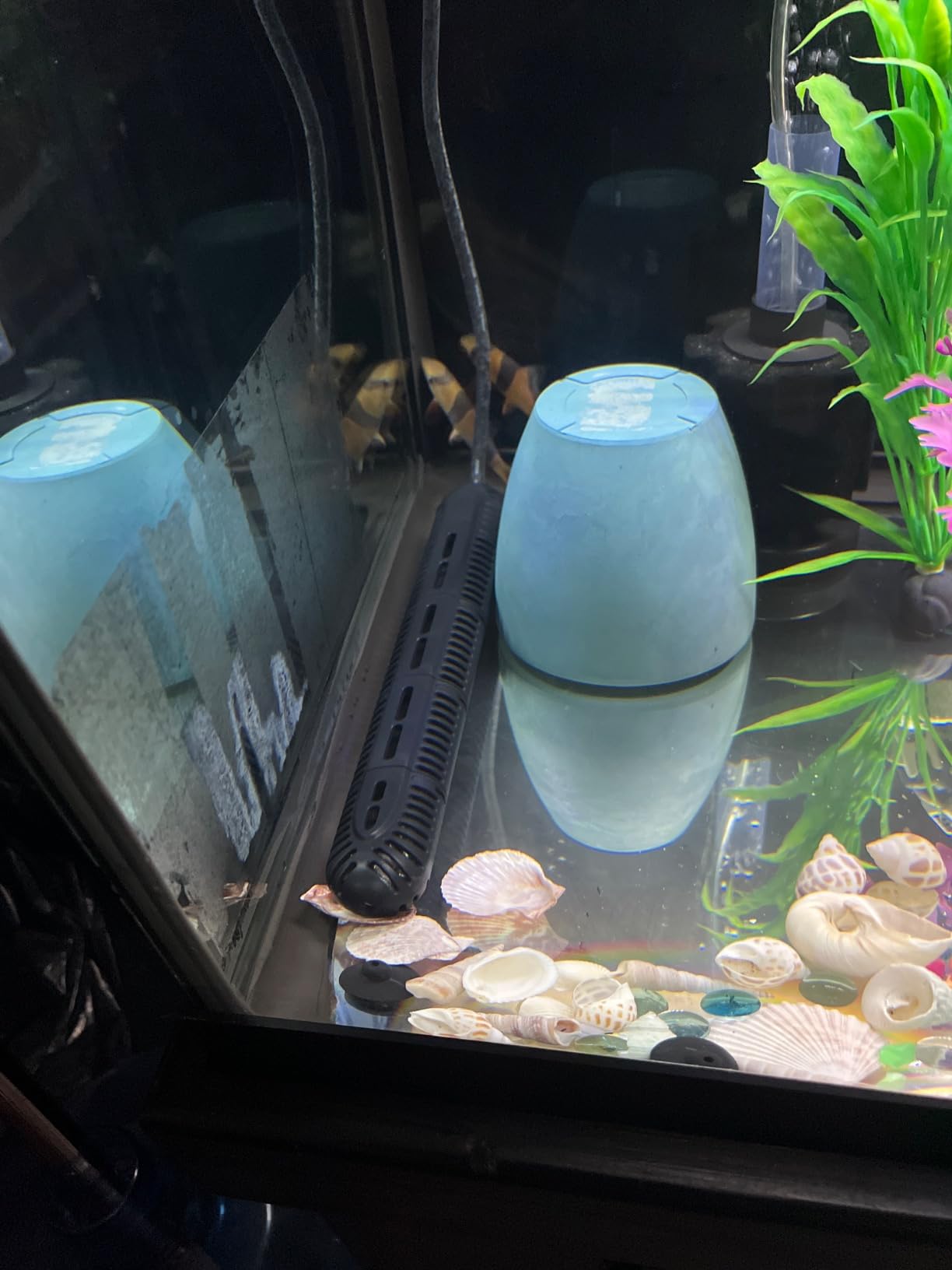HiTauing Aquarium Heater, 300W Fish Tank Heater with LED Digital Display & 5 Safety Protection, Submersible Aquarium Heater with 2 Suction Cup and 8.2Ft Cord for 40-75 Gallon Fish Tank customer photo 2