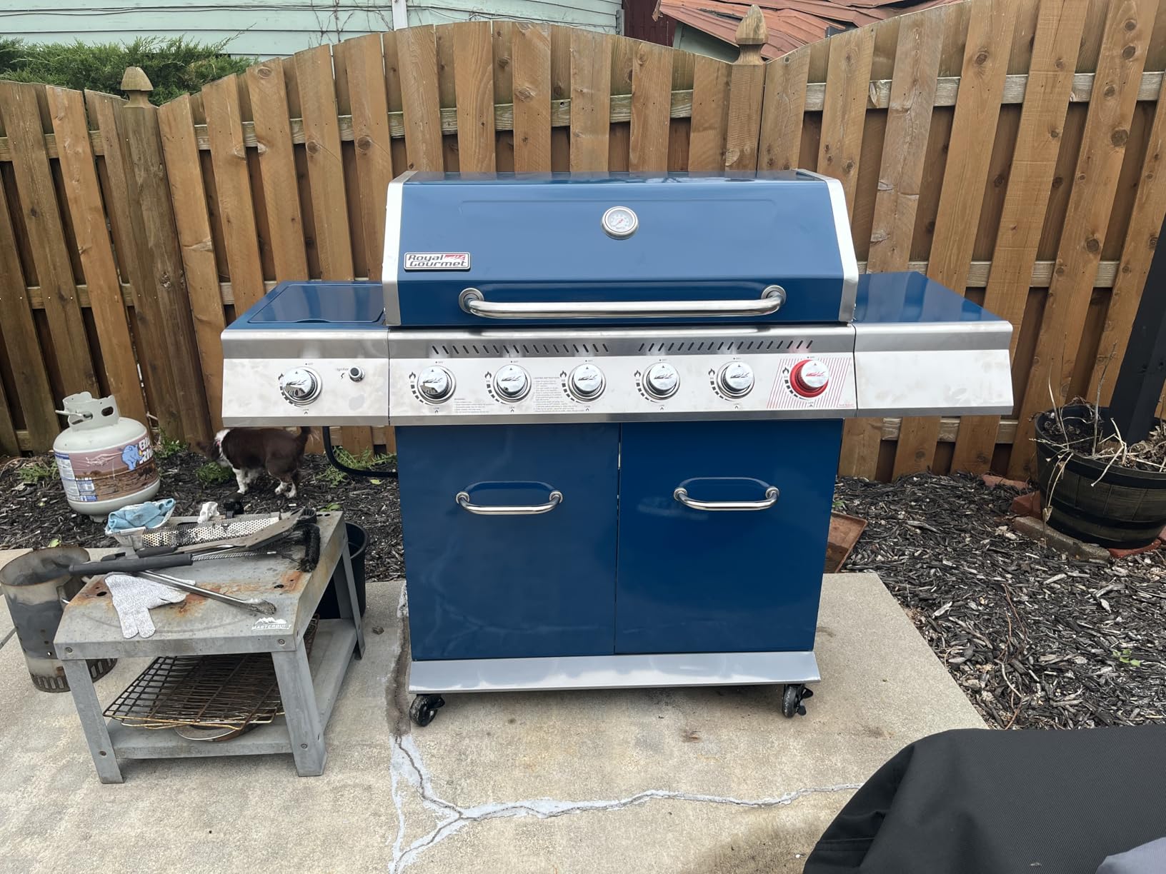 Royal Gourmet GA6402B 6-Burner Propane Gas Grill with Side Burner, Blue | Totaling 74,000 BTU of Cooking Power | Cabinet Style Outdoor BBQ Grill | Perfect for Barbecue Grilling & Backyard Cooking customer photo 1