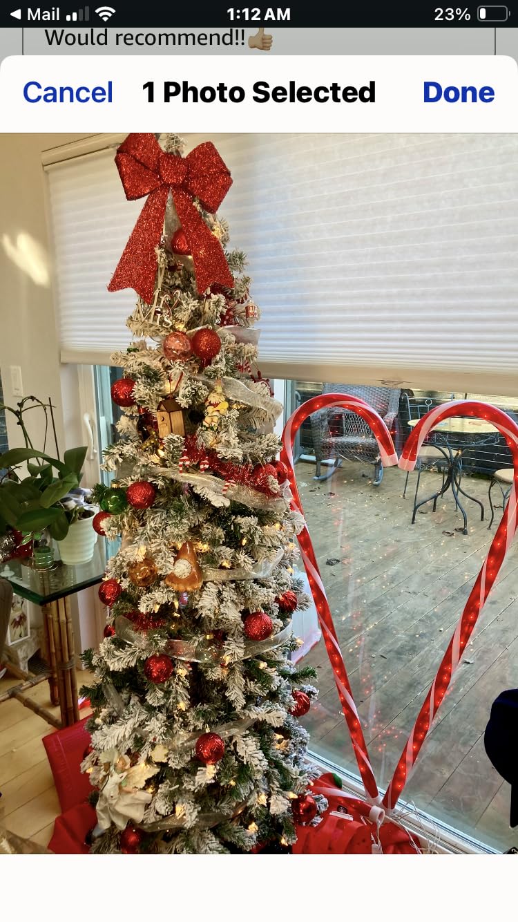 National Tree Company 6 ft Pre-Lit Flocked Acacia Slim Artificial Christmas Tree, 250 Clear Lights, 512 Tips, Includes Stand, Green customer photo 1