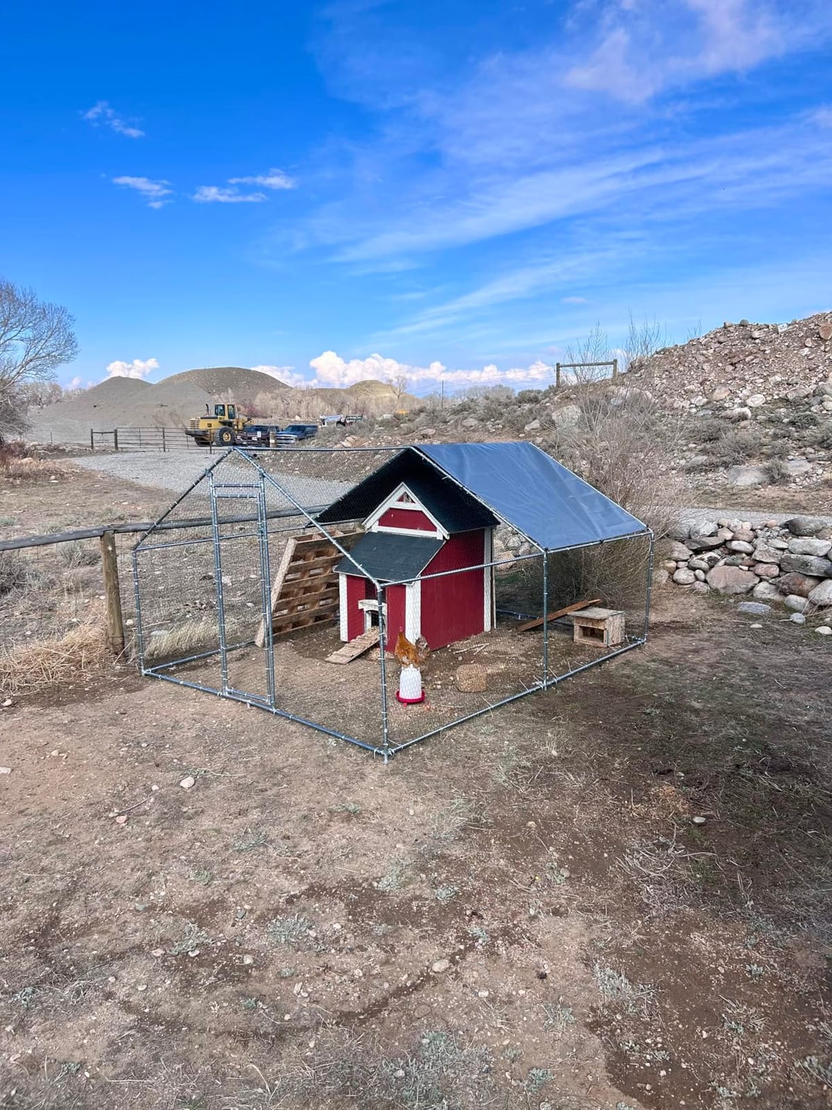 HITTITE Large Metal Chicken Coop with Run, 19.19 x 9.84 x 6.56 ft Walk in Poultry Cage Chicken Run Pen, Outdoor Chicken Runs for Yard with Waterproof & Anti-UV Cover customer photo 1