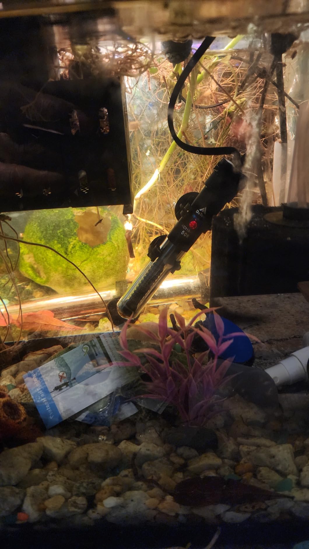 DaToo Aquarium Heater Adjustable 50W Submersible Fish Tank Heater with Electronic Chip Thermostat Suitable for Marine Saltwater and Freshwater customer photo 2