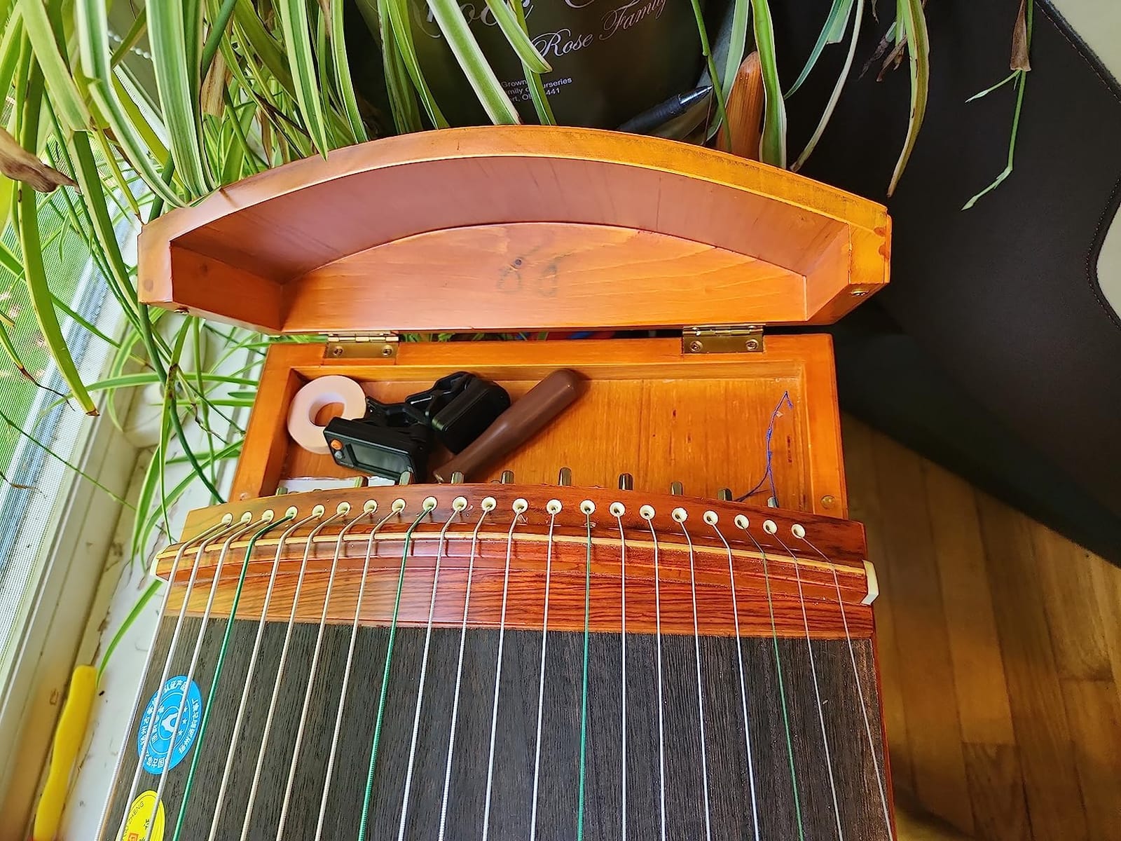 LANDTOM Professional Paulownia Guzheng(163cm) for Adults/beginner/Intermediate (Drizzling rain) customer photo 2