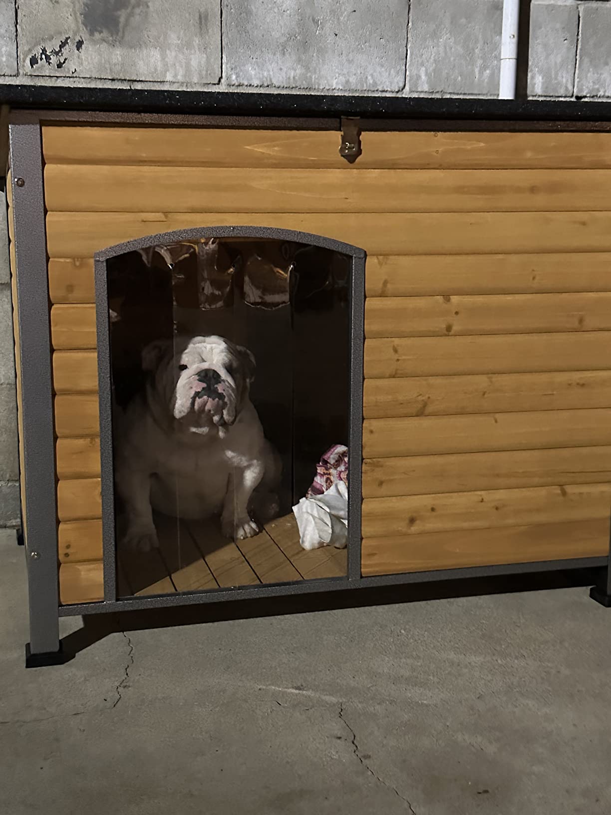 Aivituvin Insulated Dog House Outdoor & Indoor Wooden Dog Kennel for Winter with Raised Feet Weatherproof for Small & Medium & Large Dogs, Unique All-Around Iron Frame customer photo 1