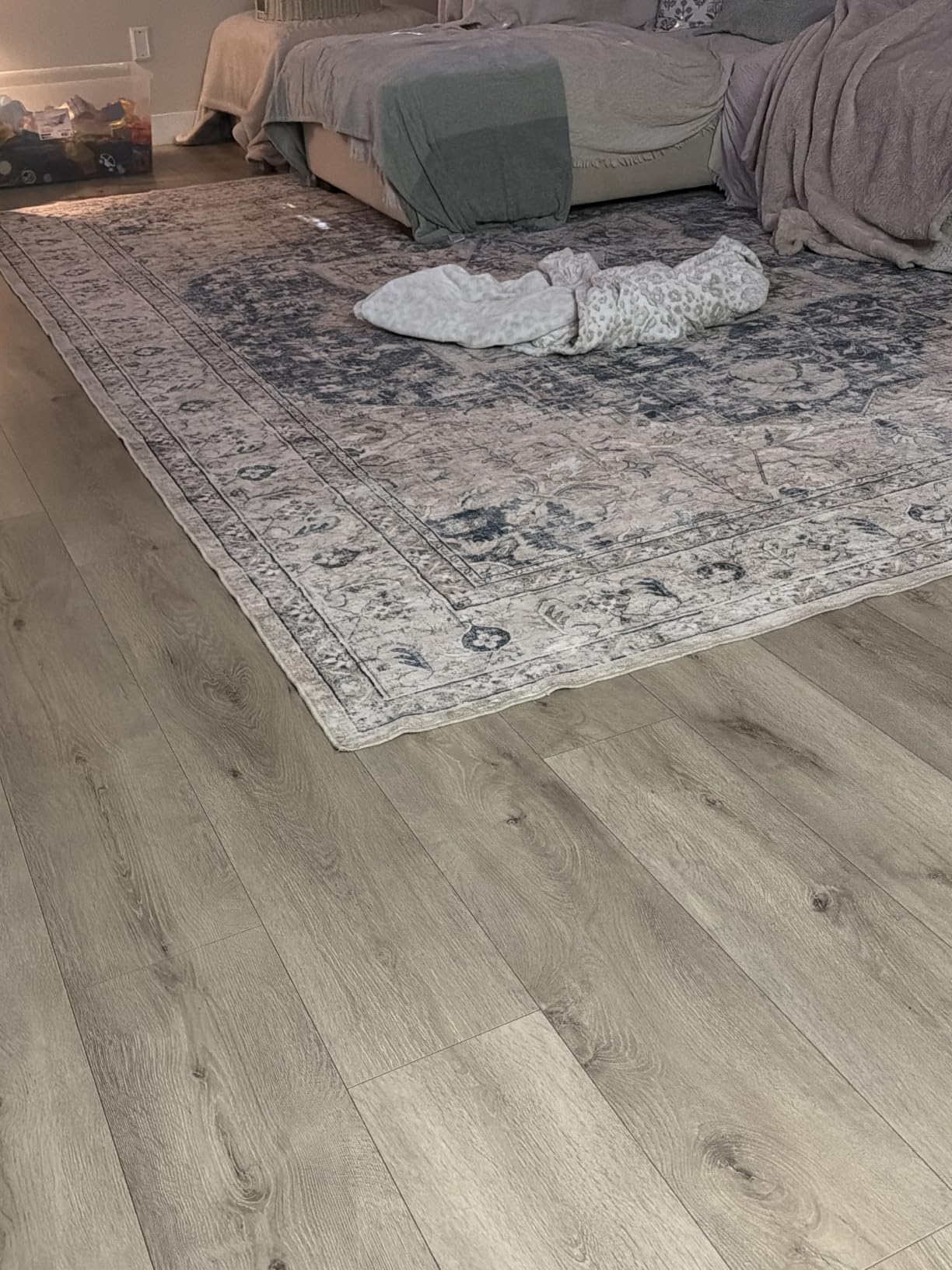 Tortania Area Rug 9x12 Living Room Rug Washable Soft Cream/Blue | Vintage Oriental Farmhouse Carpet for Bedroom/Office/Under Dining Table, Home Decor Low Pile Busy Home Use customer photo 2