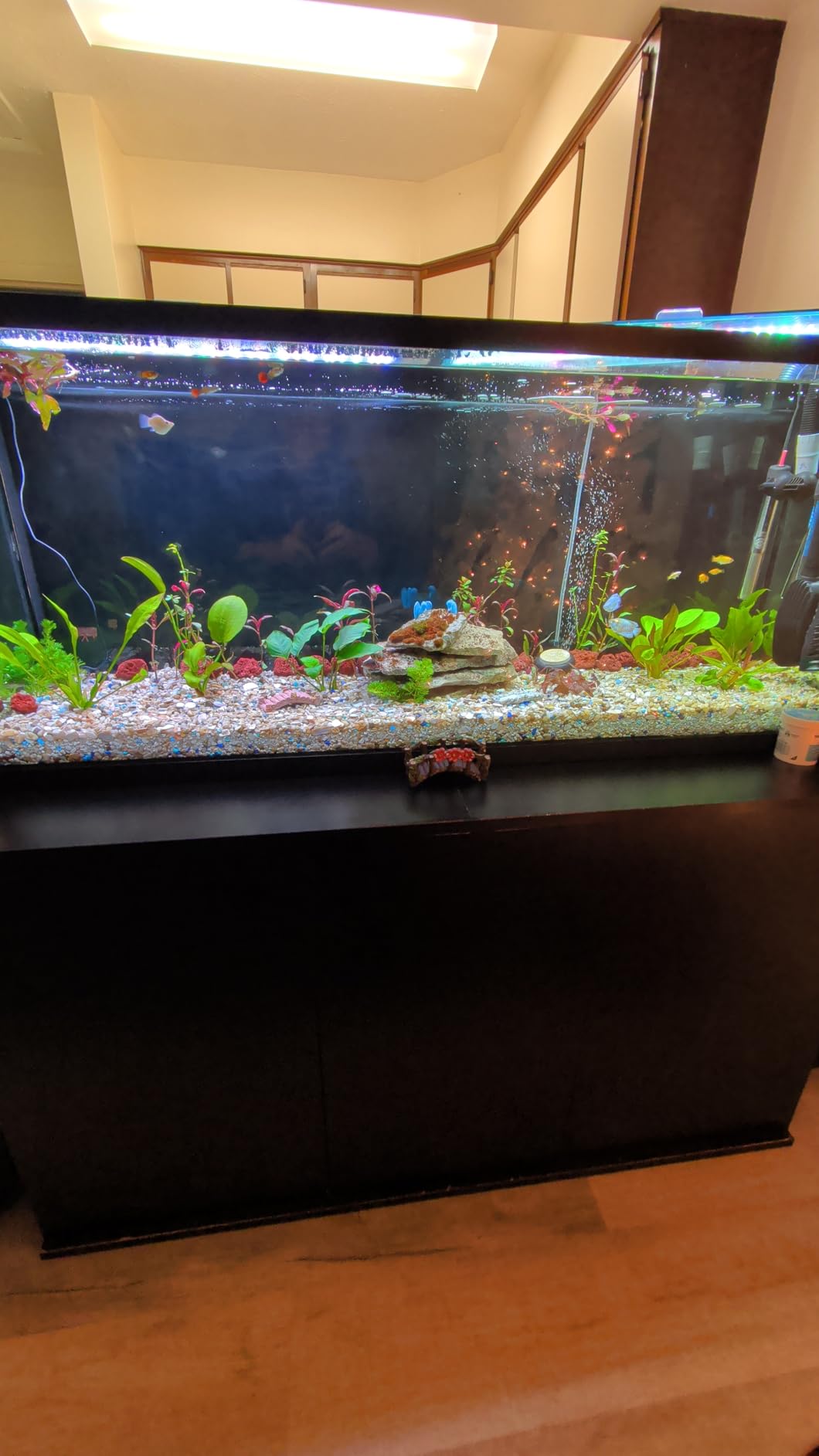 Fluval FX2 High Performance Canister Aquarium Filter | Multi-Stage Filtration, Built-in Powered Water Change System, and Basket-in-Basket Tray Design customer photo 1