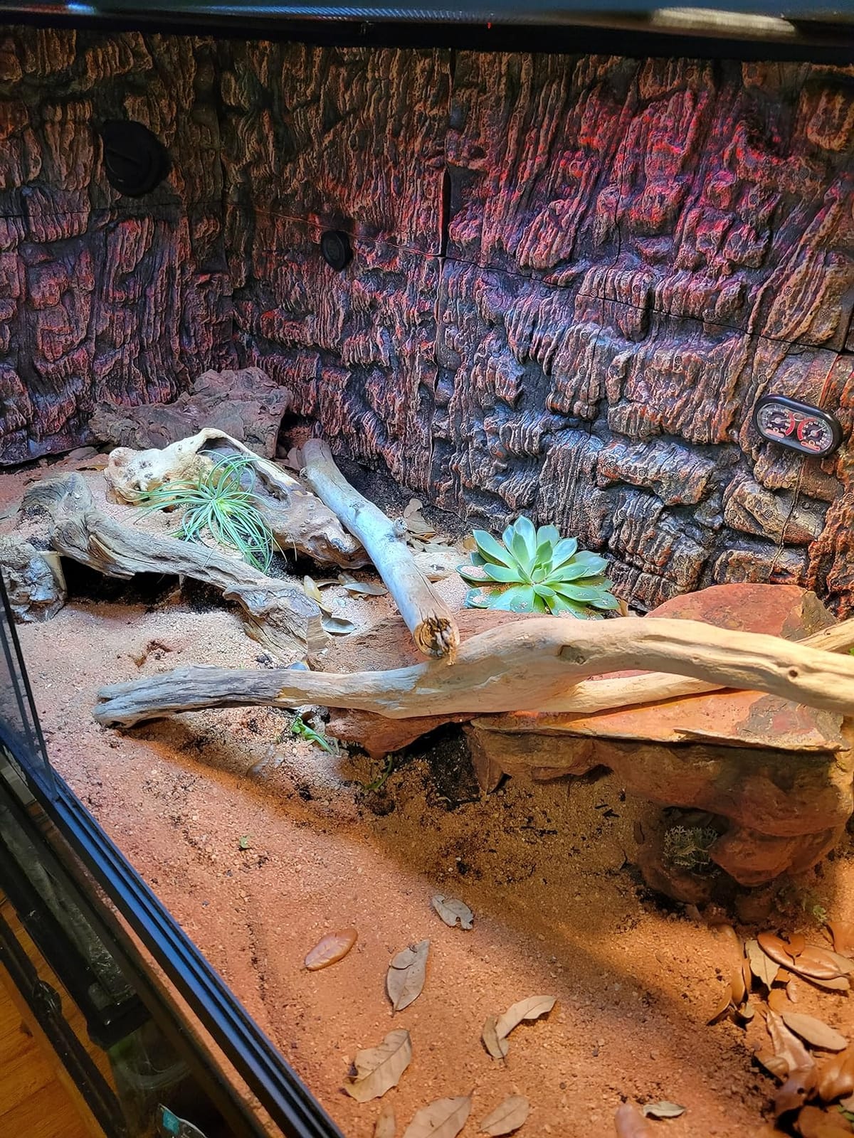 Reptile Habitats 4x2x2 (120 Gallon) Reptile Enclosure V3 PVC Panels, Glass Doors, Lightweight, Easy to Assemble, Heavy Duty Screen, Aluminum Frame customer photo 1