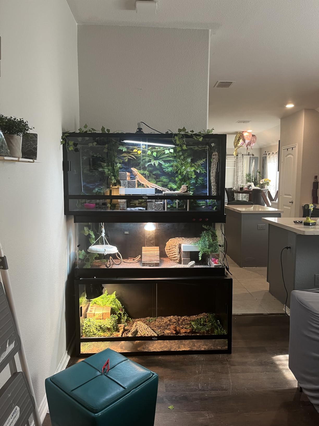 Reptile Habitats 4x2x2 (120 Gallon) Reptile Enclosure V3 PVC Panels, Glass Doors, Lightweight, Easy to Assemble, Heavy Duty Screen, Aluminum Frame customer photo 2
