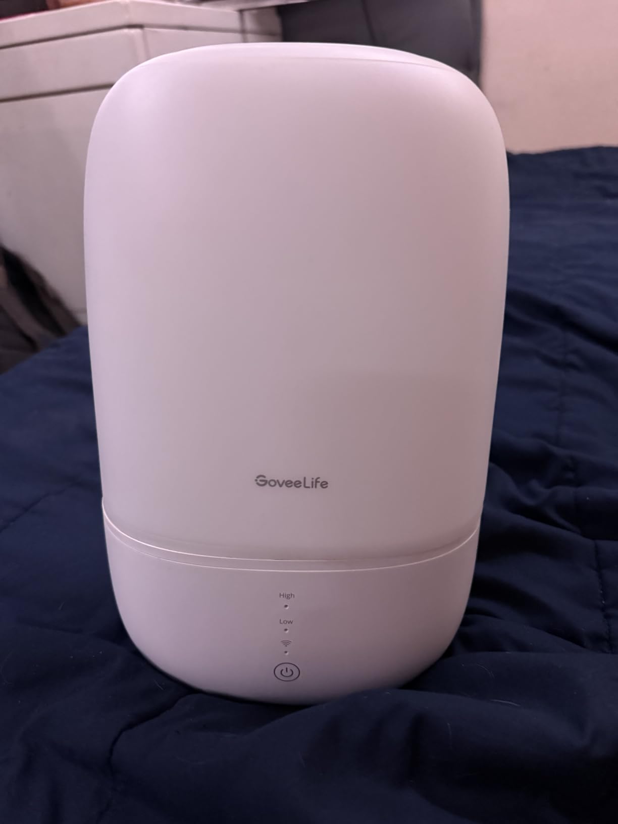 GoveeLife Smart Humidifiers for Bedroom, 3L Top Fill Cool Mist Humidifier | 24dB Quiet Runtime, Humidity Control, Easy to Clean, 25H Lasting, RGB Night Light for Baby, Plants, Works with Alexa customer photo 2
