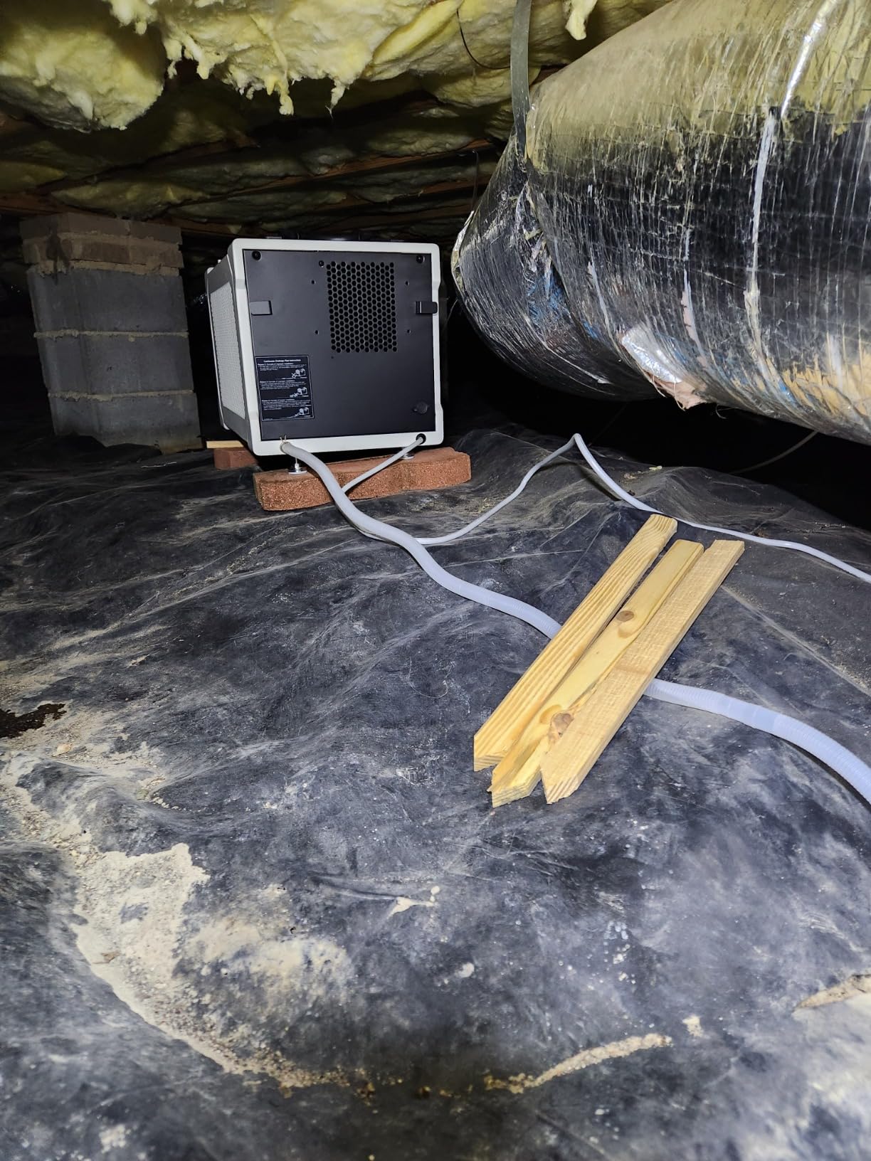 155 Pint Commercial Dehumidifier with Drain Hose for Crawl Spaces | Basements, Industry Water Damage Unit, Large Capacity, Compact, Portable, Auto Defrost, Memory Starting customer photo 2