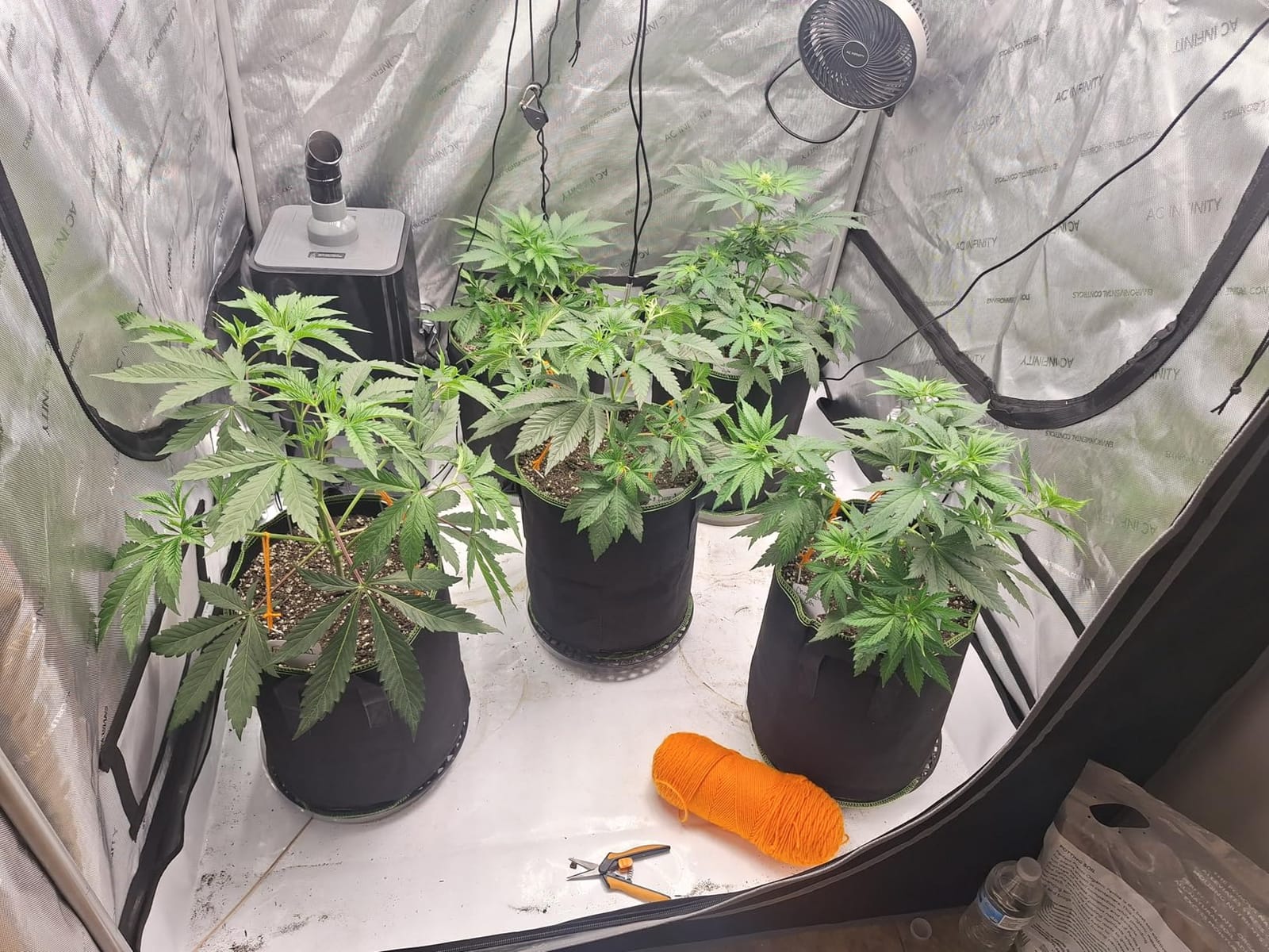 AC Infinity CLOUDFORGE T7, Plant Humidifier 15L with VPD Humidity Controls | 10-Level Precision Vaporizer, Extendable Hose, Flexible & Fixed Targeting Pipe, Five-Way Nozzle, No-Leak Seal for Grow Tents customer photo 1