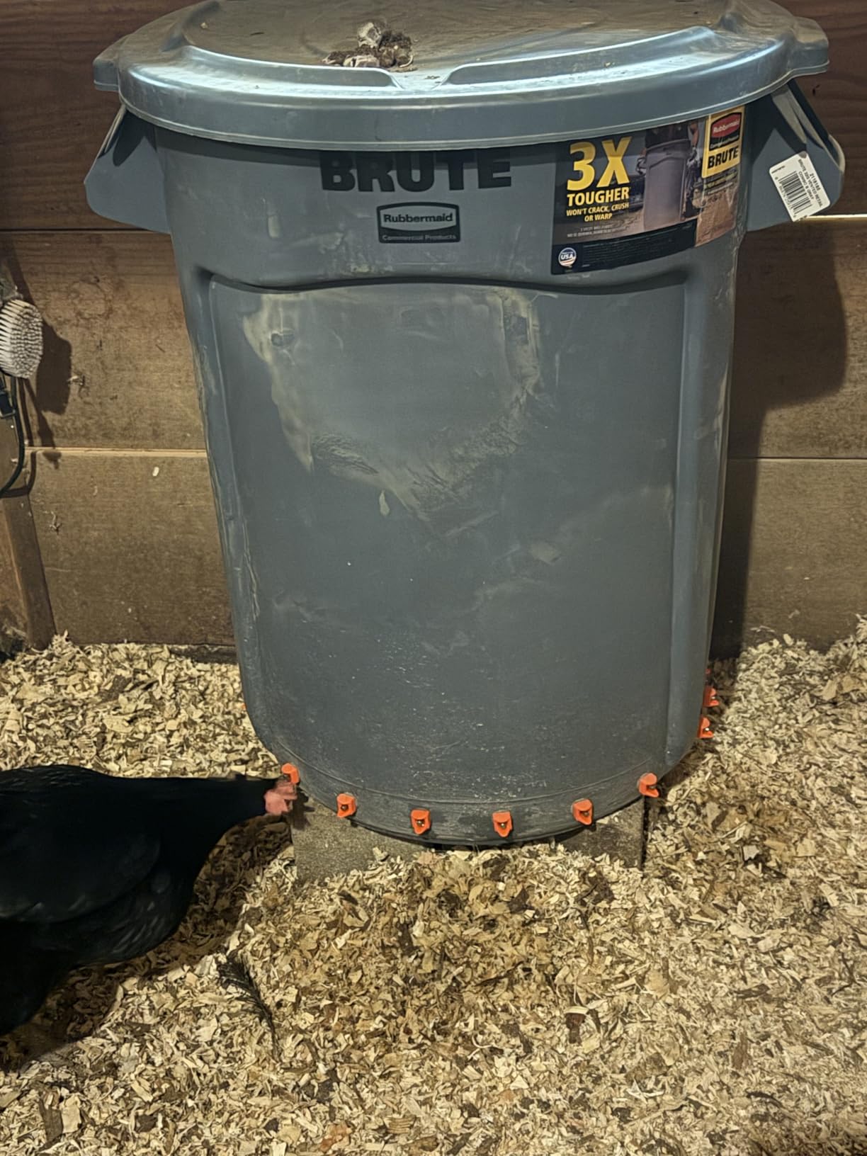 Lil'Clucker Horizontal Chicken Waterer Nipples, Pack of 15 Chicken Nipple Waterer with Drill Bits, Easy Install Automatic Chicken Waterer System, No Leak Chicken Water Feeder, Poultry Waterer - Orange customer photo 2