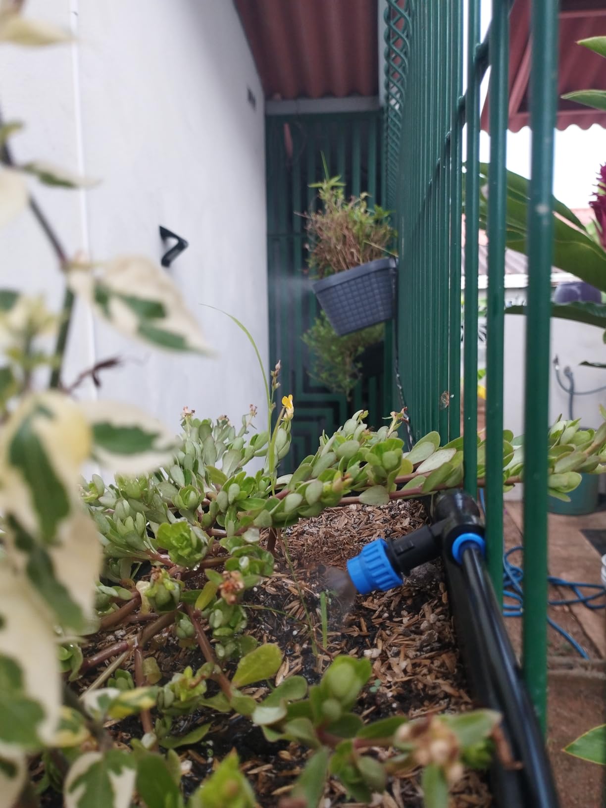 HIRALIY 59FT Drip Irrigation Kit, Quick-Connect Garden Watering System | with 15 Adjustable Misting Nozzles and 1/4 in Tubing for Greenhouse, Hanging Plants, Raised Beds & Patio Containers customer photo 1