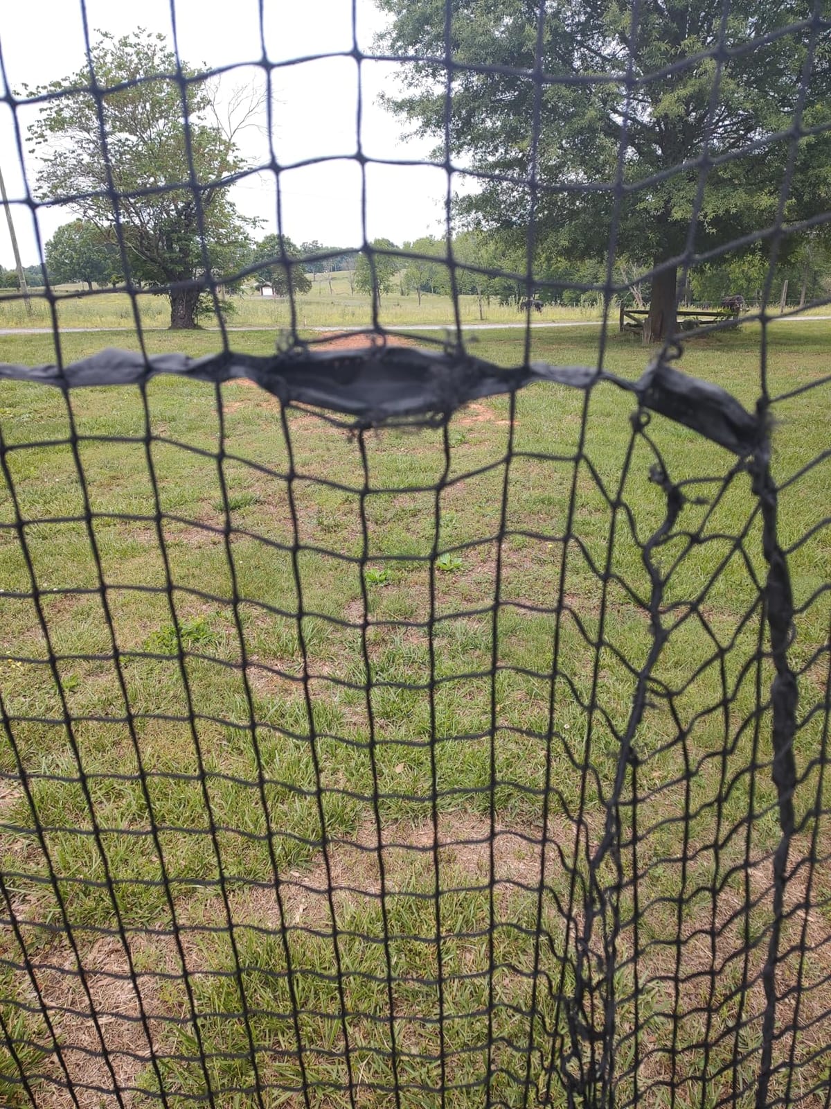 GoSports 7 ft x 7 ft Baseball & Softball Nets - Red, Black, Drip or PRO - Practice Hitting & Pitching Net with Bow Type Frame, Carry Bag and Strike Zone, Great for All Skill Levels customer photo 1