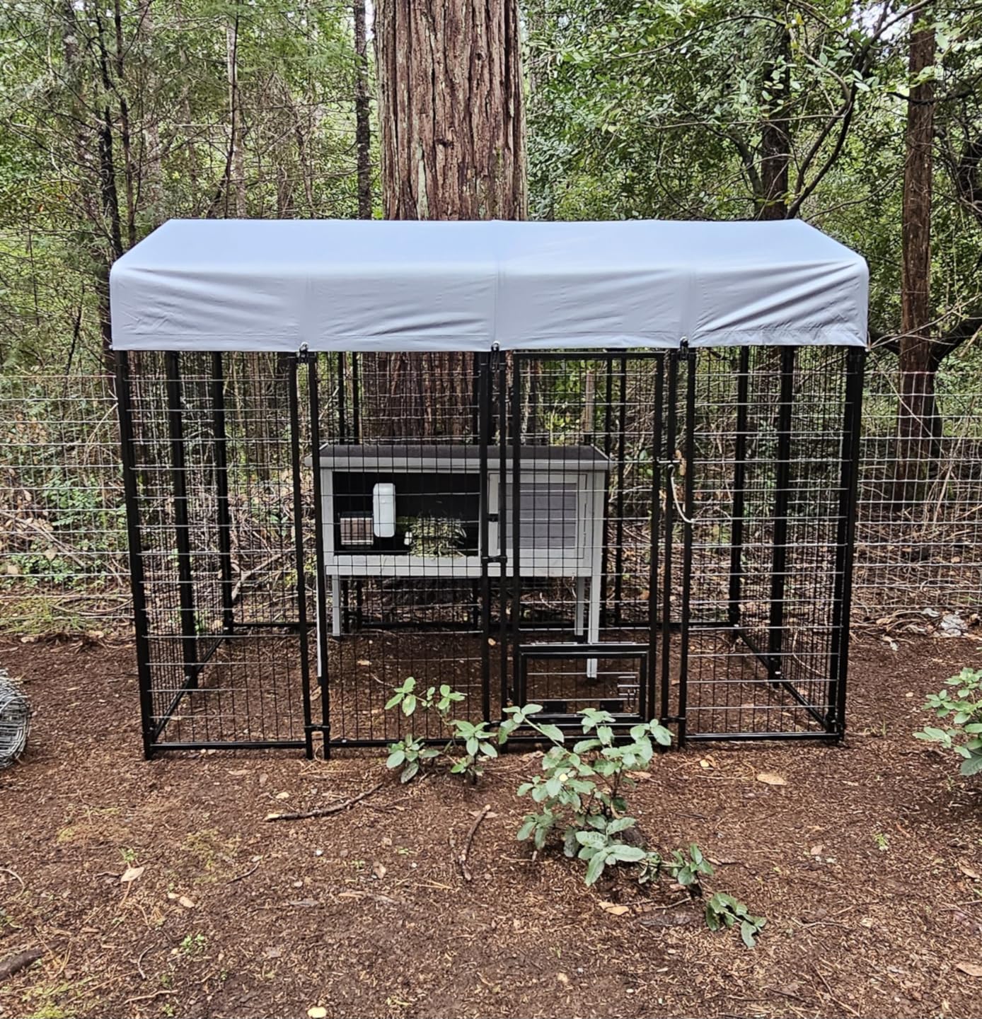 LEMBERI 8x4x6FT Outdoor Dog Kennel for Large Dogs, Heavy Duty Escape-proof galvanized steel dog run with double-latch gate, reflective silver waterproof roof, 2 stainless steel bowls customer photo 1
