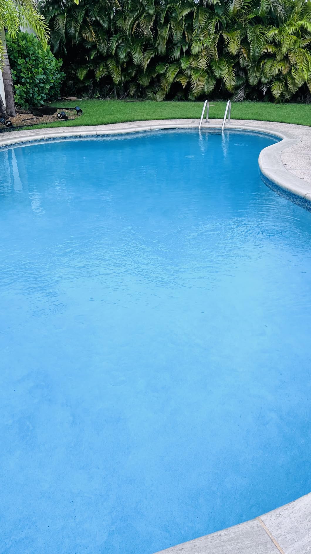 Sepetrel Deluxe Swimming Pool Cleaning Kit with Spa Jet Vacuum Cleaner, Brush, Semi-deep Skimmer Net & Adjustable 57.5-inch Pole customer photo 2