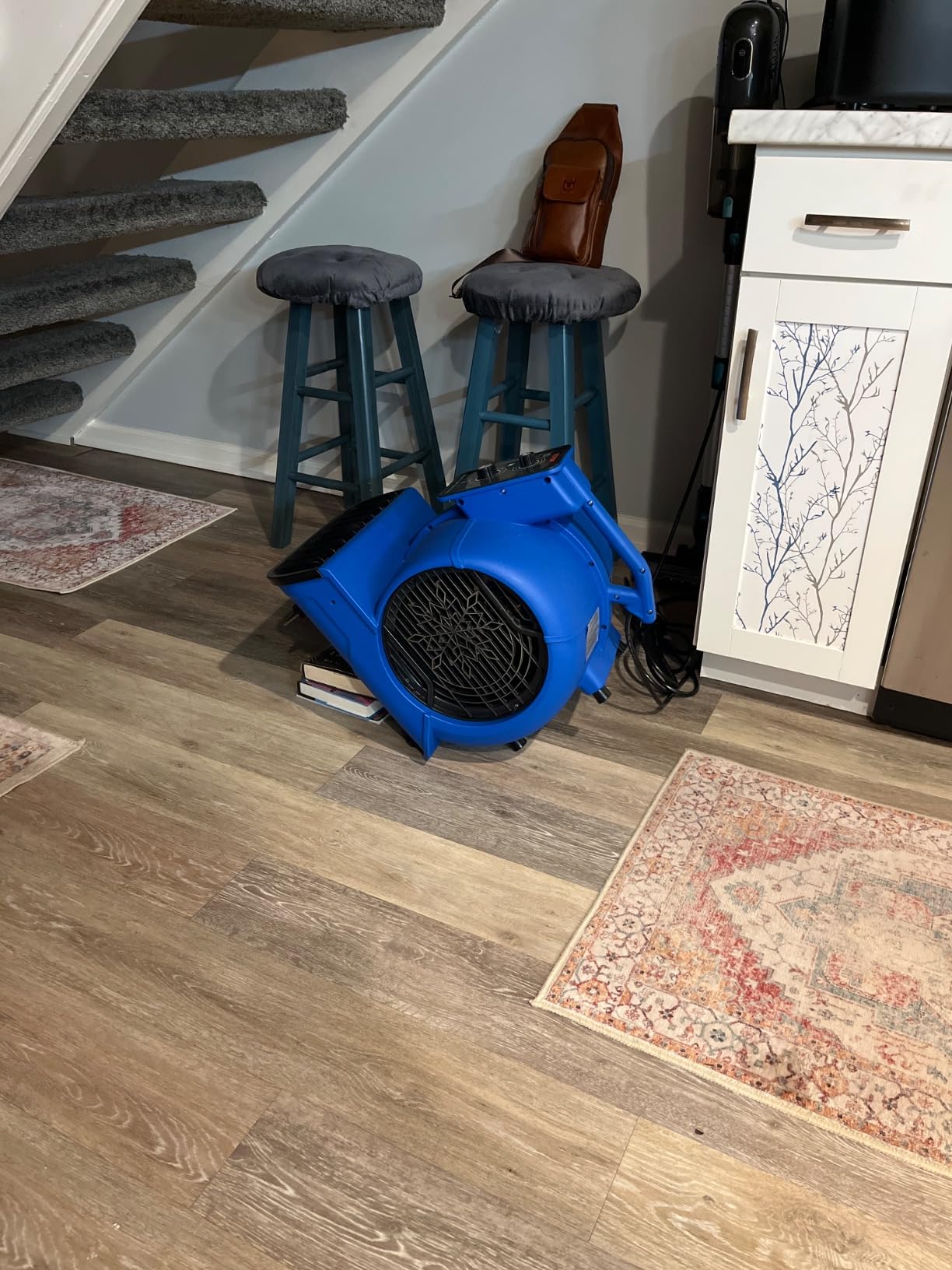 VEVOR Air Mover, 1/2 HP 2600 CFM Carpet Dryer for Cooling and Ventilating | Portable Floor Blower Fan, 4 Blowing Angles and Time Function, Adjustable Blow Angle for Janitorial, Home, Commercial Use customer photo 1