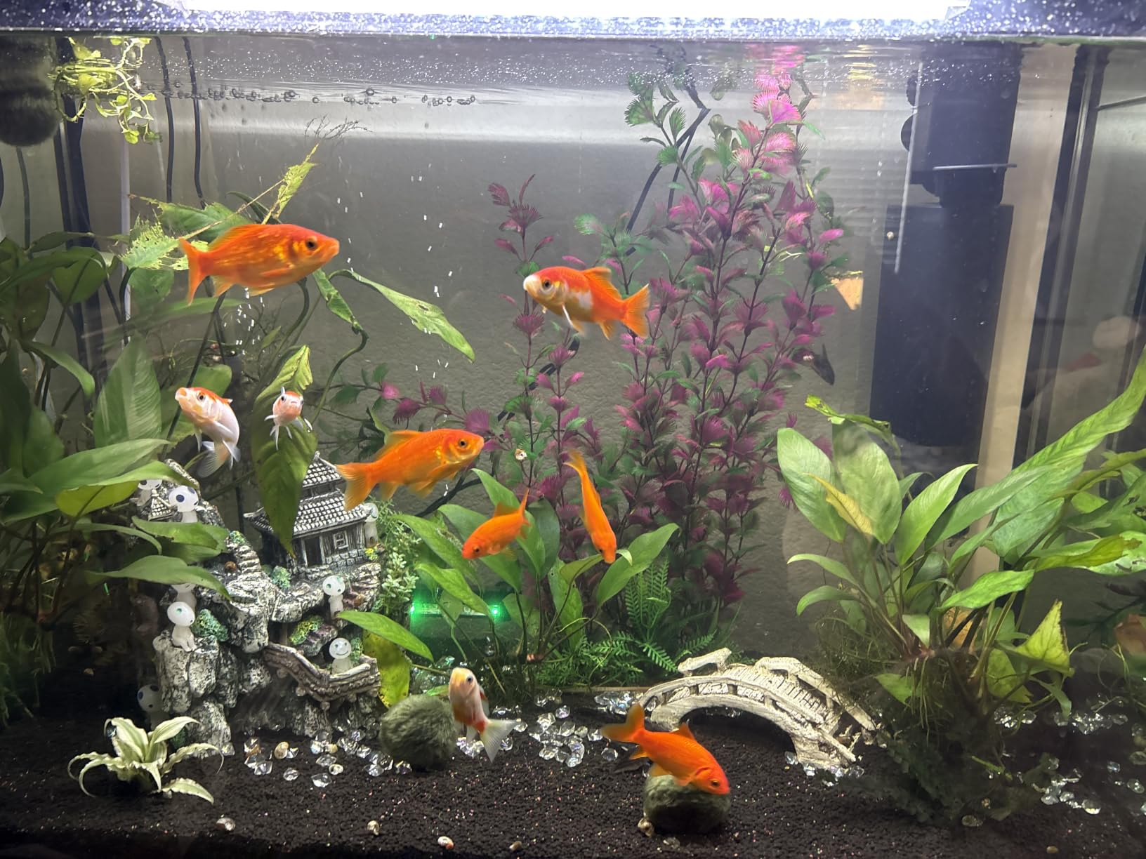Aquarium Filter for 40-150 Gallon Tank, U-V Fish Tank Green Clean Machine Submersible Powerful Pump Canister Filter 400GPH customer photo 2