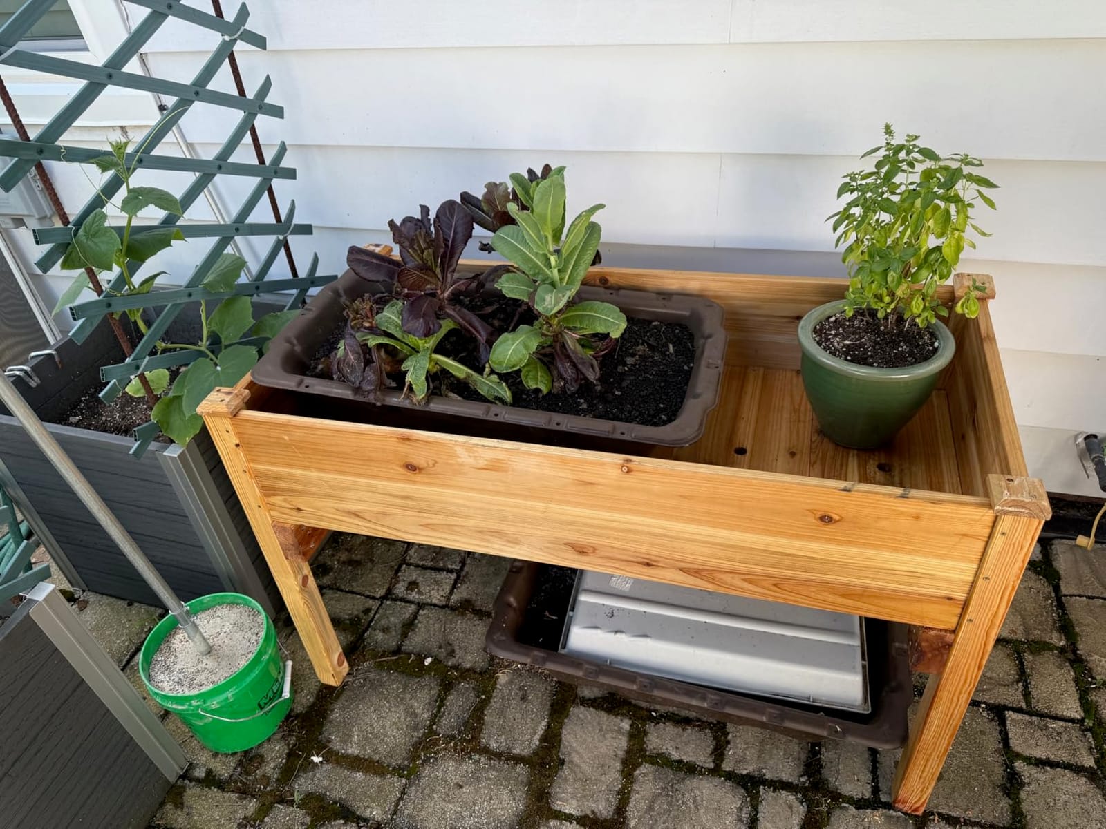 Cedar Raised Garden Bed with Legs, Outdoor Planter Box 48x24x30, 200lb customer photo 2
