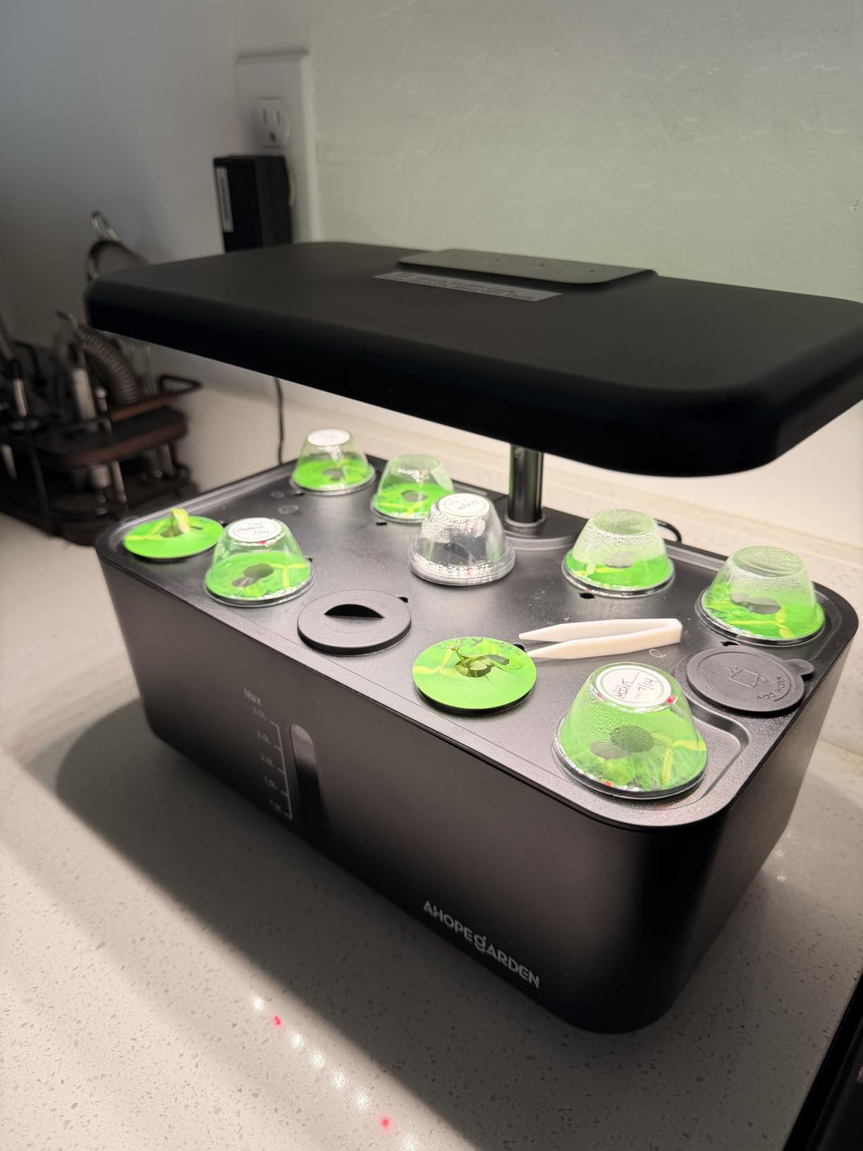 Ahopegarden Indoor Garden Hydroponics Growing System: 10 Pods Kit with LED | Plant Germination Kit Herb Vegetable Growth Lamp Countertop, Hydroponic Planter Grower Harvest Lettuce for Beginner Gardeners customer photo 2