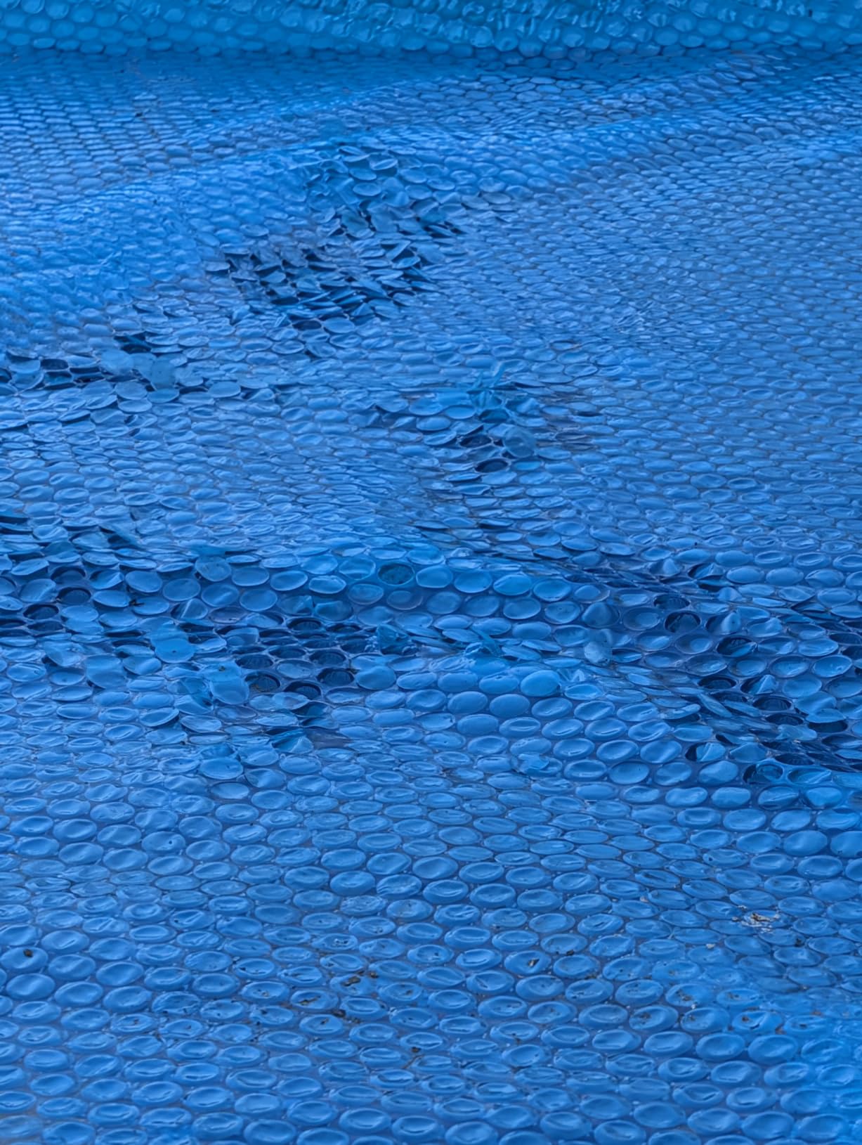 In The Swim 18' Standard Blue Round Solar Pool Cover 8 Mil | For Solar Heating Above Ground Pools and Inground Pools customer photo 2