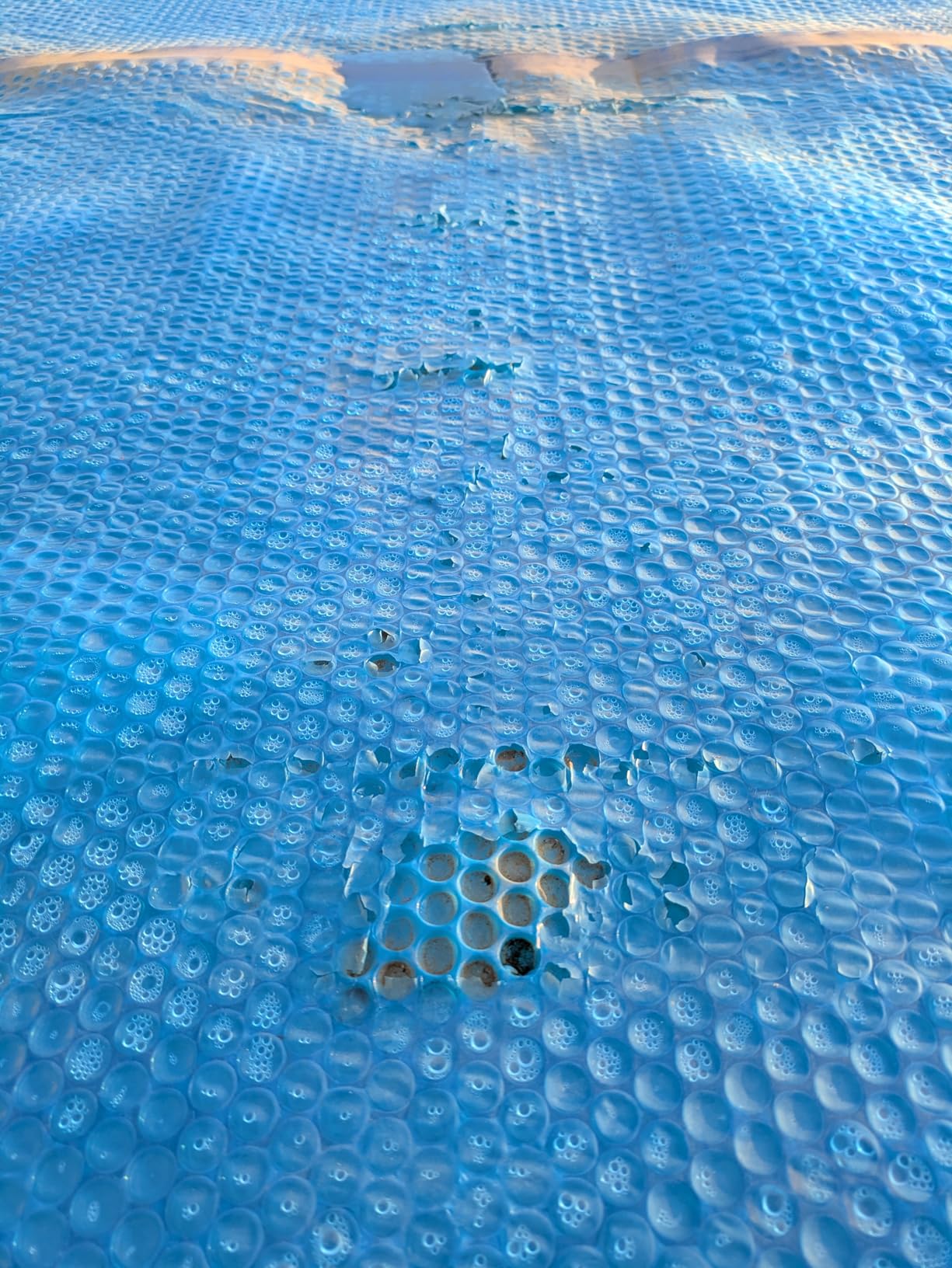 In The Swim 16' x 32' Premium Blue Rectangle Solar Pool Cover 12 Mil for Solar Heating Above Ground Pools and Inground Pools customer photo 2