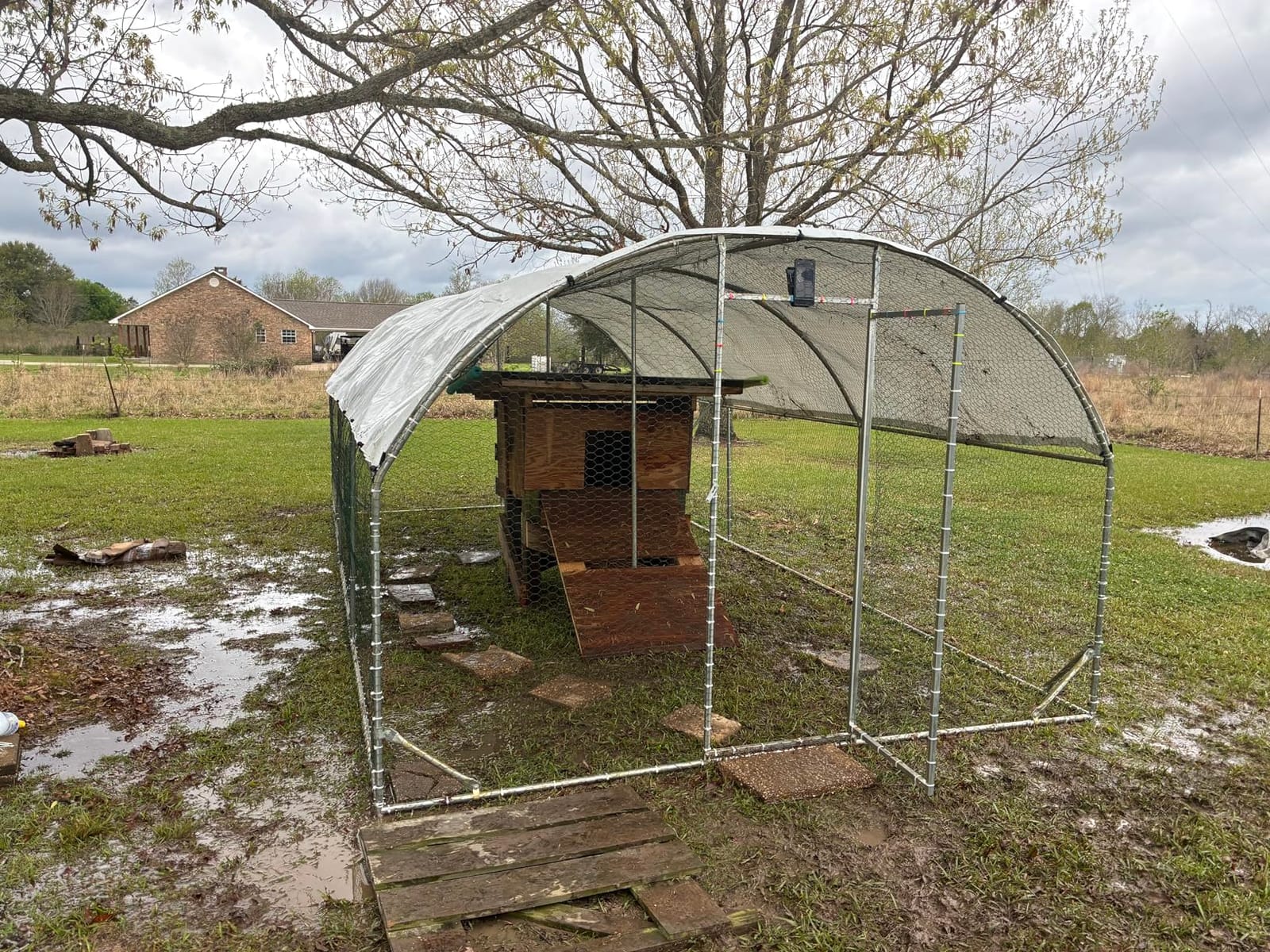 CHIKENCOOP 19.5x9.8x6.5ft Metal Chicken Coop, 3-Room Run, Hardware Cloth customer photo 2