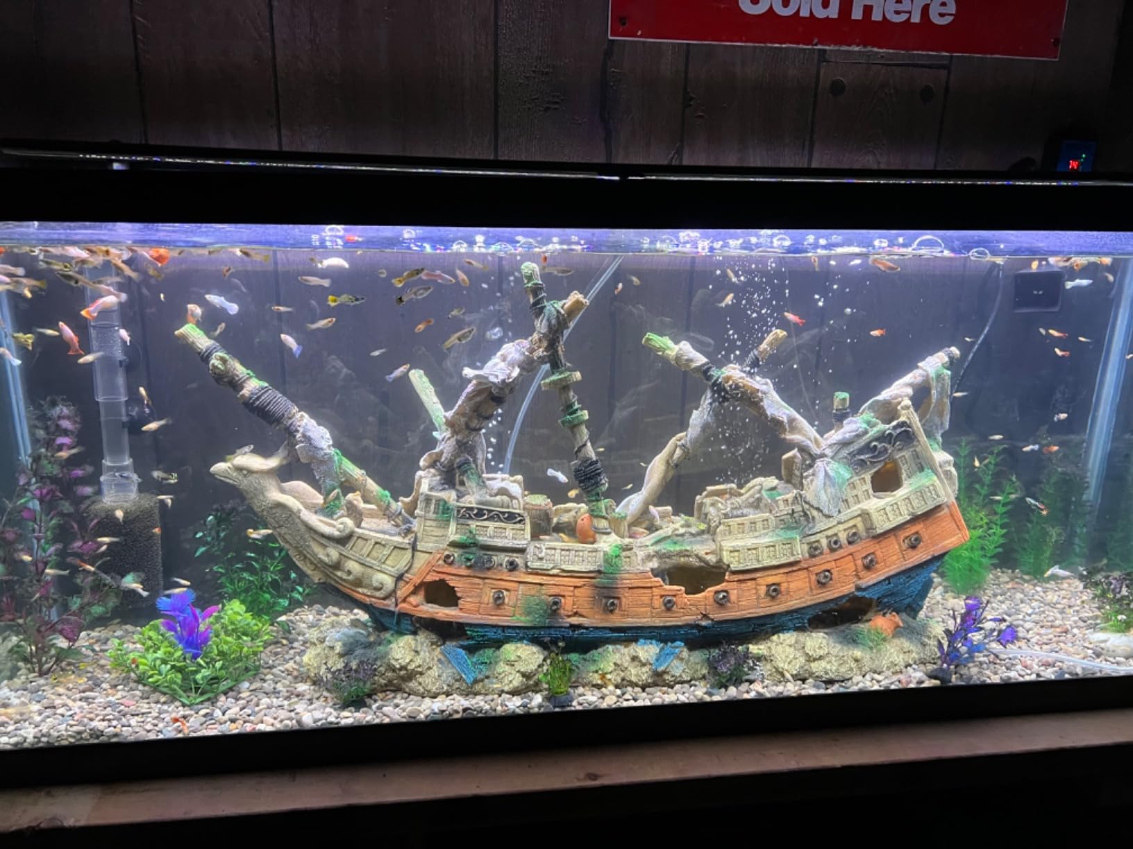 HiTauing Aquarium Heater, Upgraded 300W/500W Fish Tank Heater with Intelligent Leaving Water Automatically Stop Heating and Advanced Temperature Control System, Suitable for Saltwater and Freshwater customer photo 2