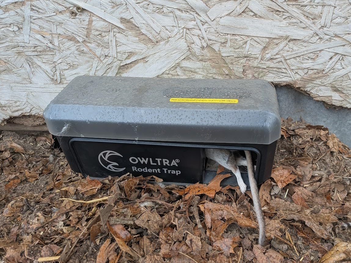 OWLTRA 2 Pack OW-7 in-/Outdoor Electric Rodent Trap, Instant Eliminate Rodent Zapper with Waterproof Cover, Sound & Light Alarm, and Batteries or USB Power Source, Waterproof Grade IPX4, Black customer photo 2