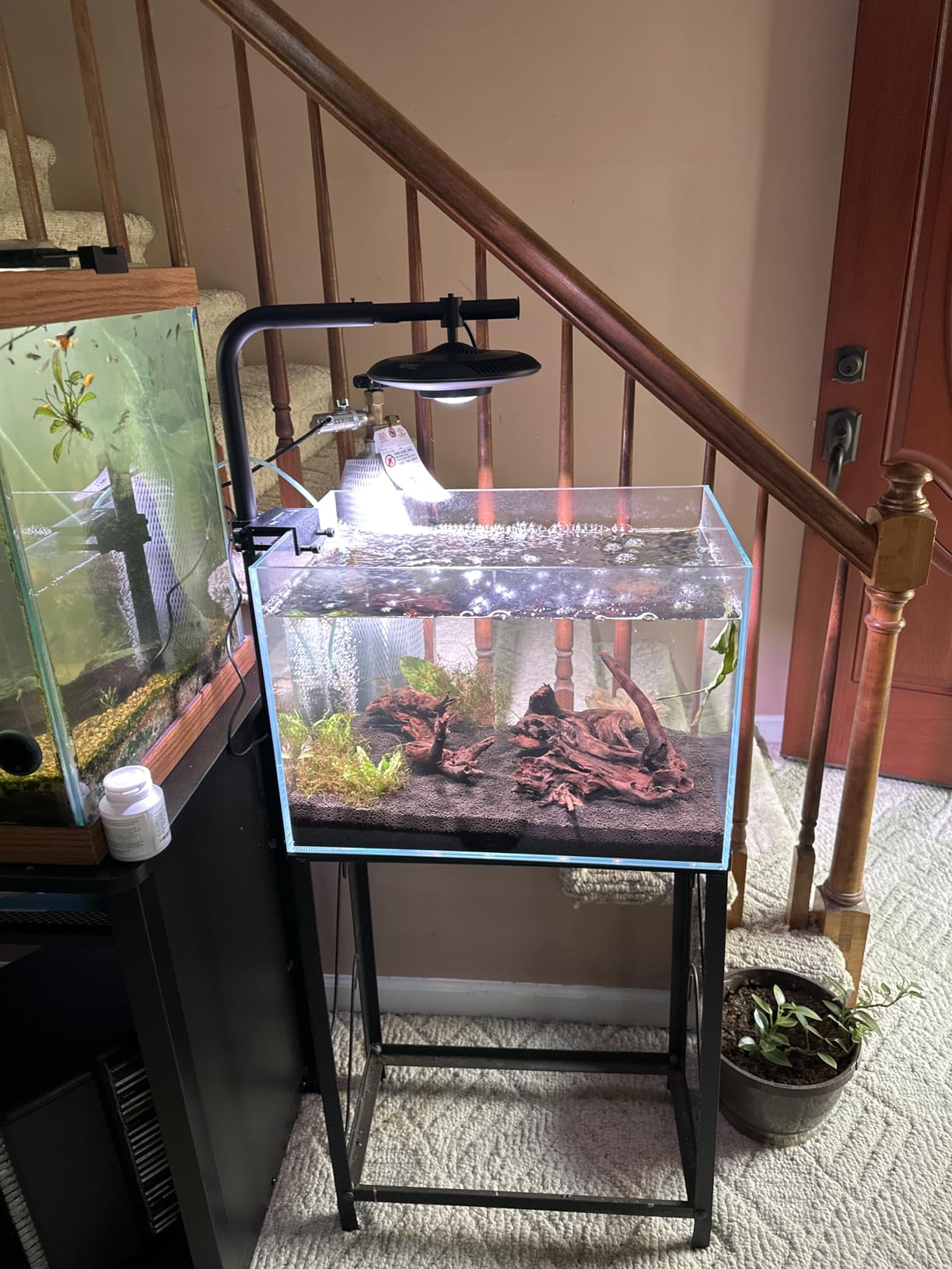 LYPHARD AQUARIUMS 15 Gallon Rimless Aquarium, Ultra Clear Glass Low Iron Rectangular Fish Tank L19.6 x W13 x H13.8 Inches Thickness 6mm with EVA Foam Mat Included customer photo 1