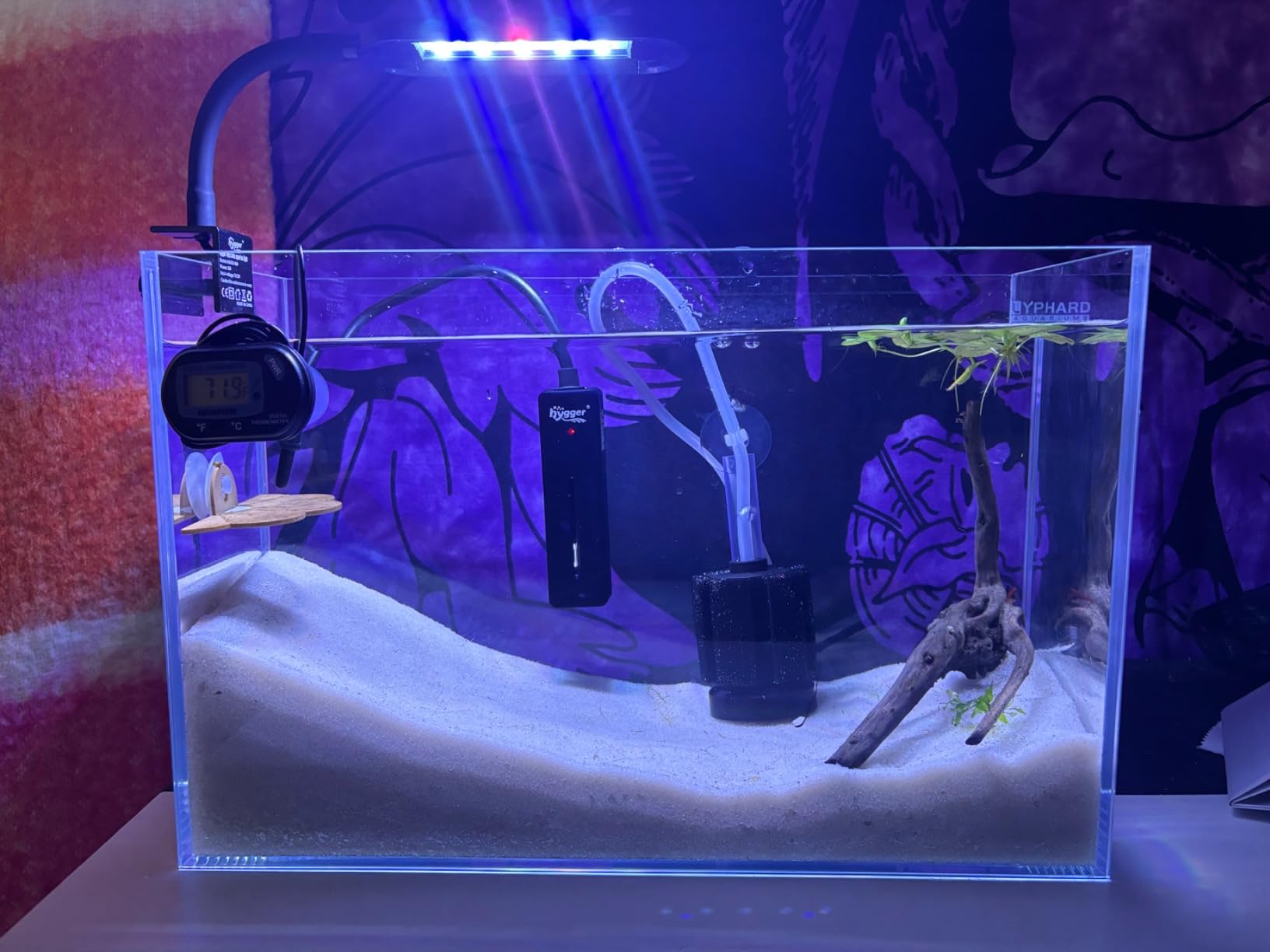 LYPHARD AQUARIUMS 15 Gallon Rimless Aquarium, Ultra Clear Glass Low Iron Rectangular Fish Tank L19.6 x W13 x H13.8 Inches Thickness 6mm with EVA Foam Mat Included customer photo 2