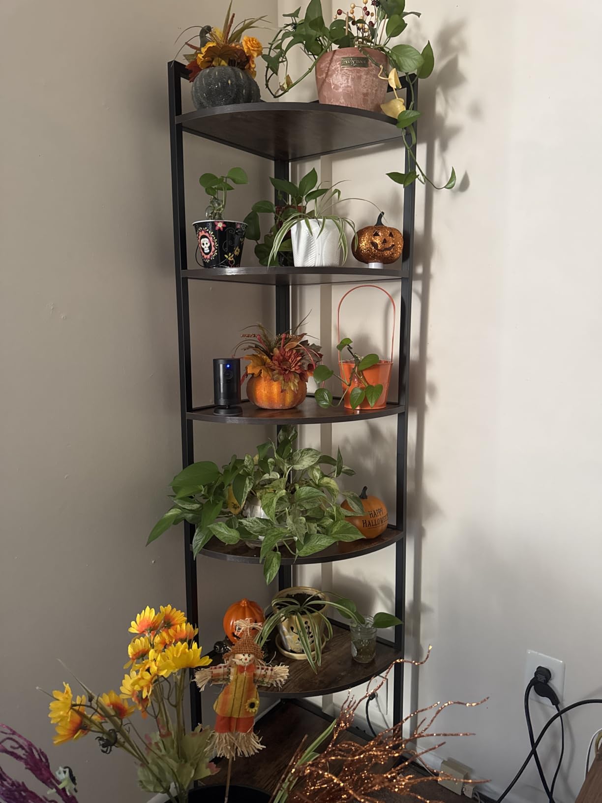 Tribesigns 6 Tier Corner Shelf, 70.9 Inch Tall Corner Bookshelf Small Bookcase Rustic Corner Shelving Unit Storage Rack for Living Room, Home Office, Kitchen, Small Space customer photo 2