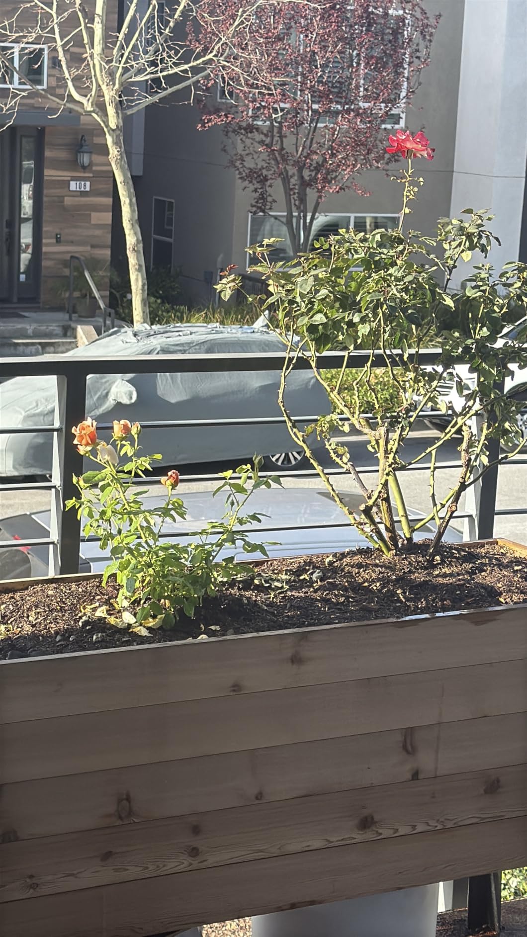 EARTH ELEVATED 100% Canadian Cedar Wood Elevated Garden Bed - 18