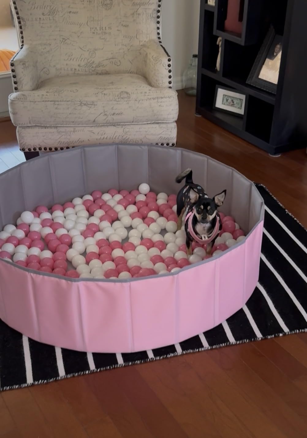 Hikiddy Large Foldable Ball Pit for Toddler Dog- 44in -Balls Not Include | Blue Baby Ball Pool with Playmat, Hold Over 1000 Balls, Play Pit for Kids Dogs Indoor and Outdoor Games, Party Toys Gifts customer photo 1