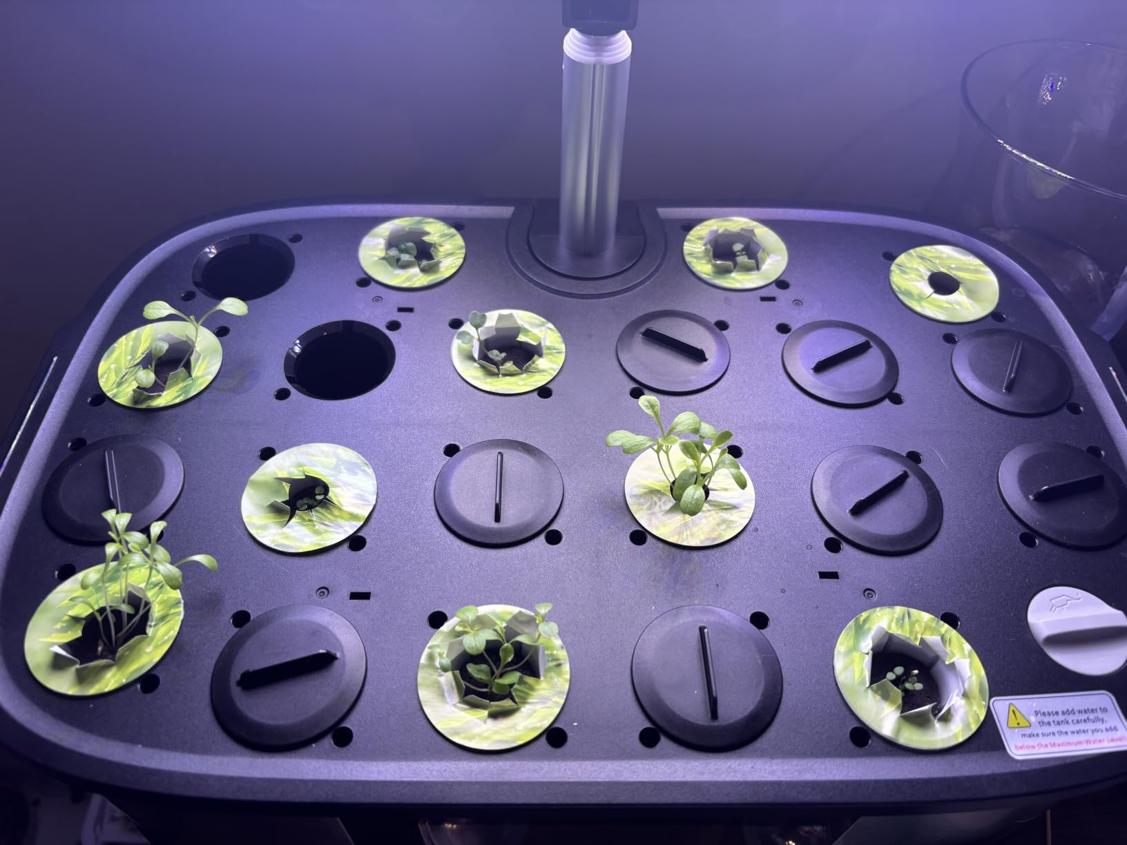 LetPot LPH-Max Hydroponics Growing System Kit, 21 Pods APP & WiFi Smart Indoor Garden customer photo 1