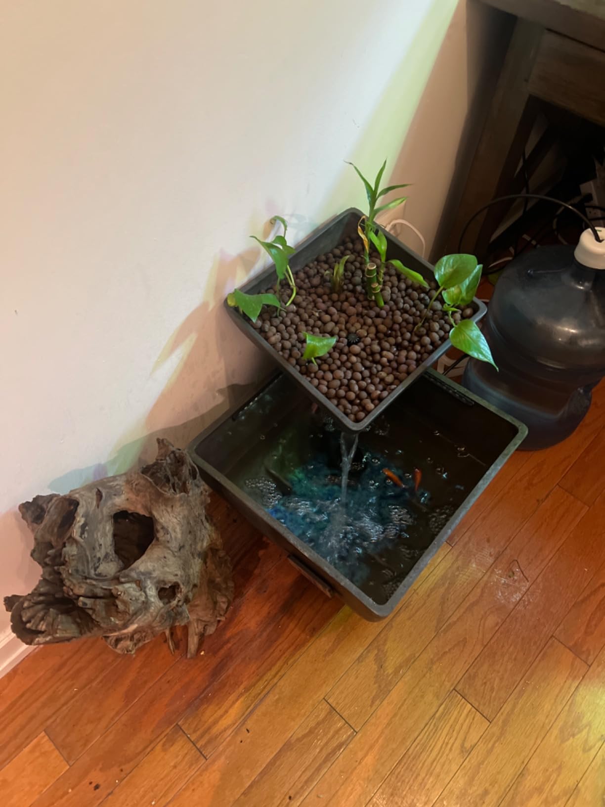 AquaSprouts Fountain: Hydroponic, Aquaponic, Water Garden Kit, Charcoal, 8 Gallons customer photo 2