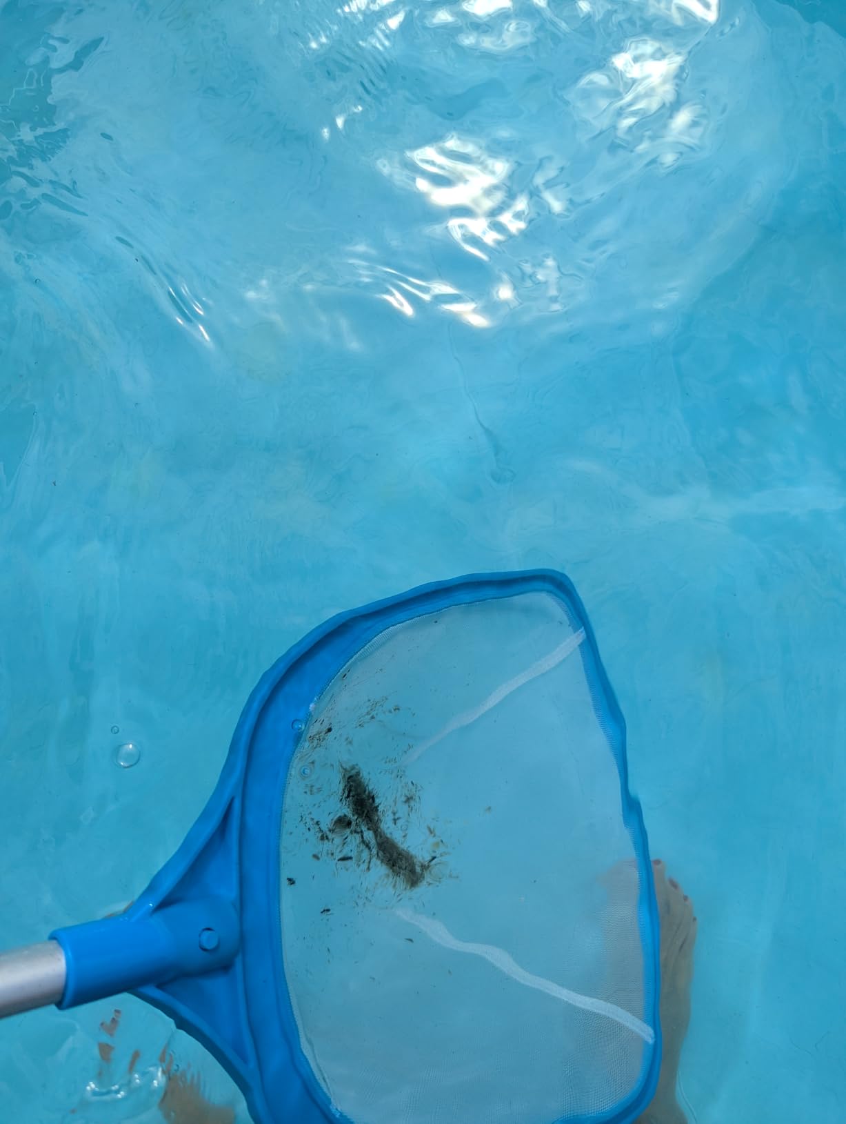 TidyMister Pool Skimmer Hot Tub Skimmer Spa Net with 12