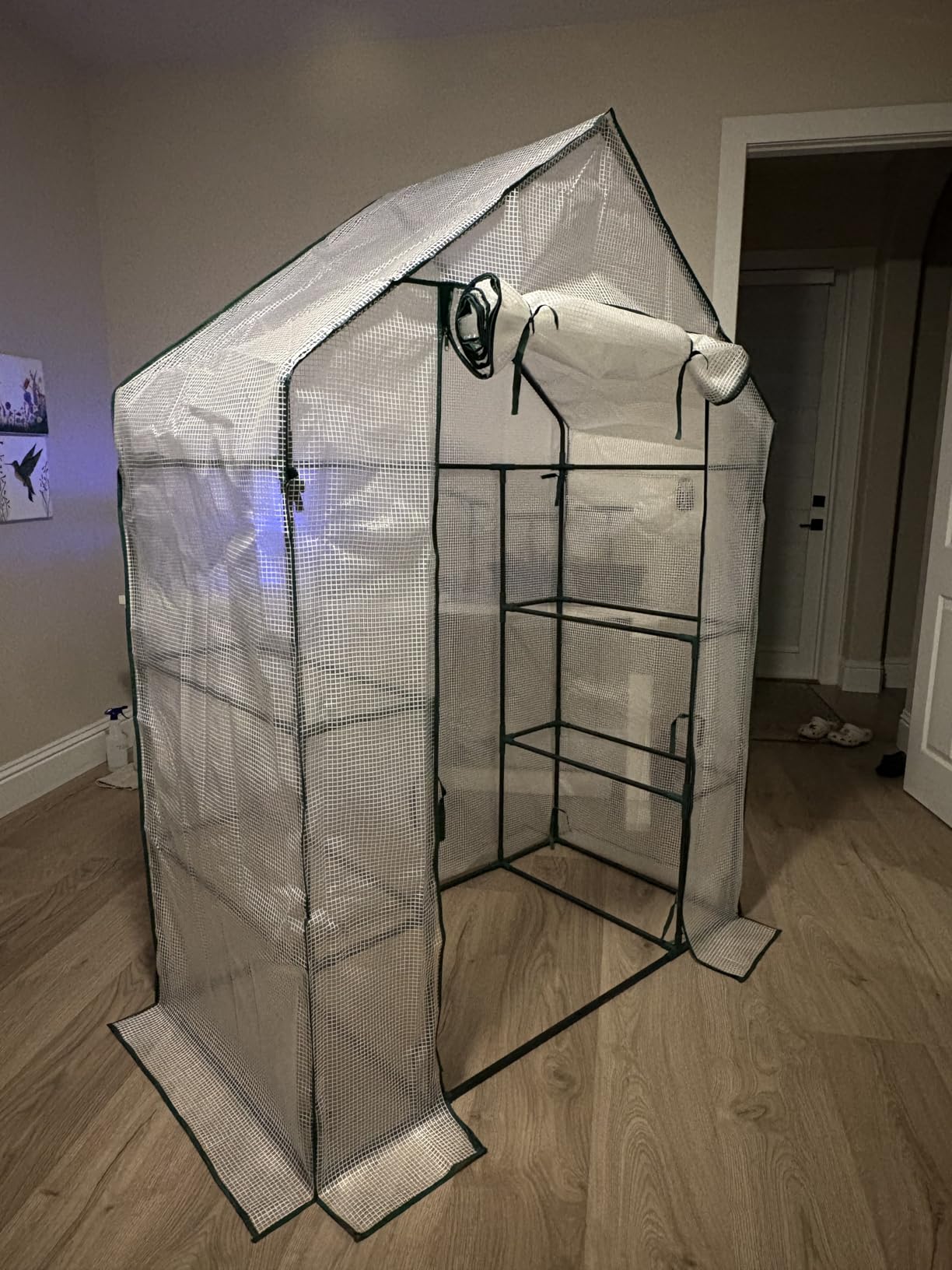 56x30x76 Walk-in Greenhouse for Outdoors, Portable Plant House with Shelves | White PE Cover, Three Shelf Levels on Each Side, Roll-Up Zipper Door, Steel Frame, Anchors and Ropes for Seedlings and Herbs customer photo 2