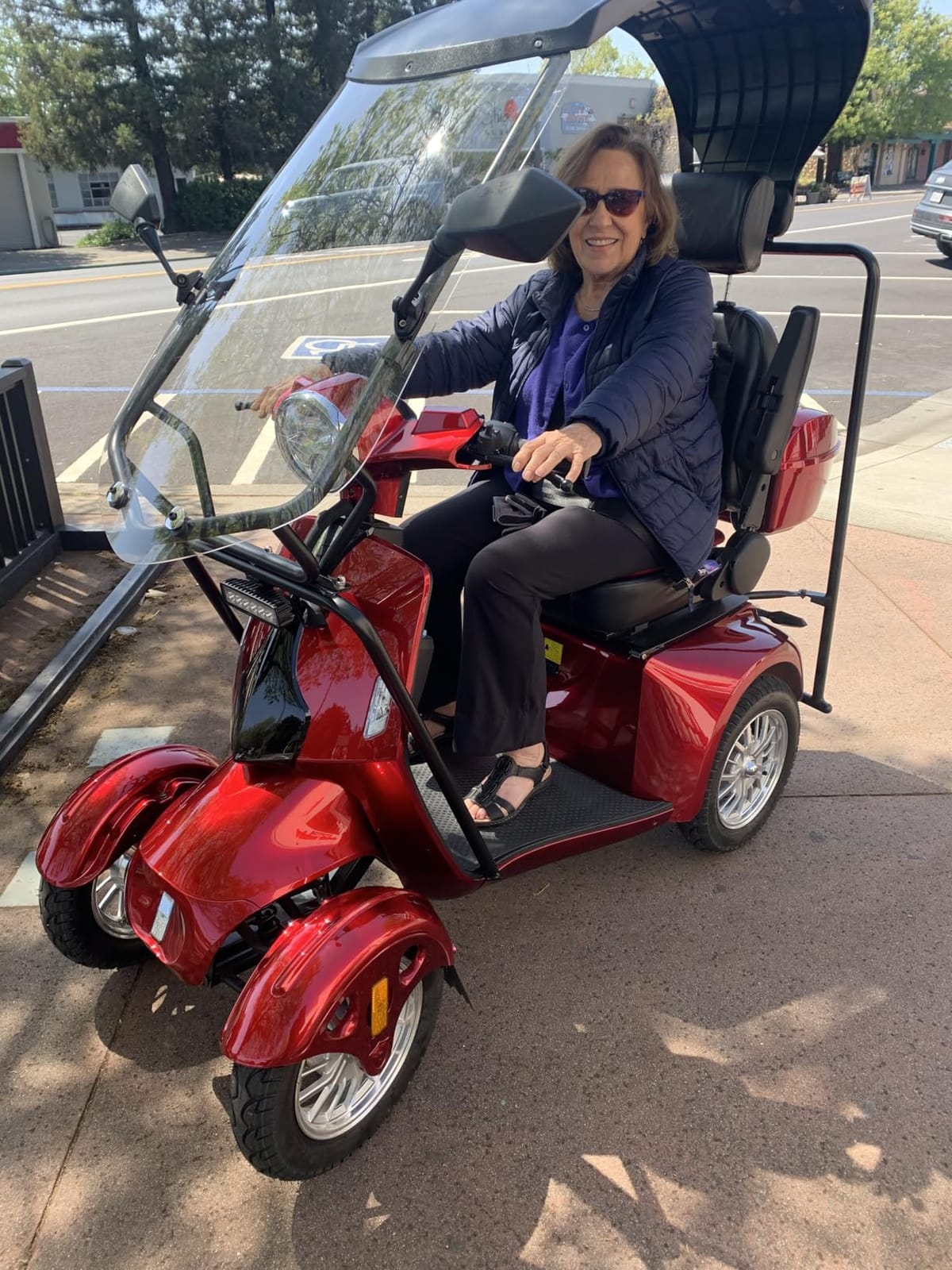 Heavy Duty Mobility Scooter with Roof & Windshield - Electric Powered Wheelchair for Seniors & Adults 500lbs Capacity- 800W Fast Mobility Chair with Long Range Battery Remote Keys customer photo 1