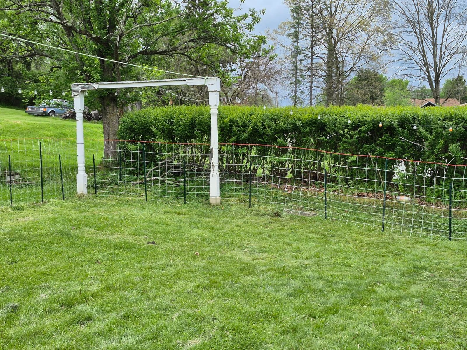 Cattle Fence 5ft x 164ft, Galvanized Farm Fence & Metal Wire Fencing customer photo 2