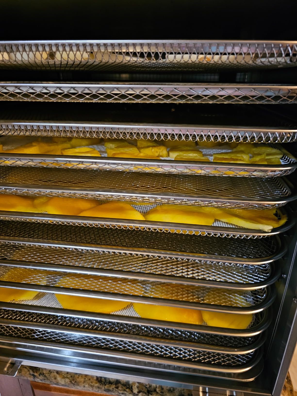Commercial Large 12 Trays Food Dehydrator, Usable Area up to 22.67ft², 1200W Full Stainless Steel Dryer Machine, up to 190℉ Temperature, for Meat, Fruit, Veggies, Beef, Herbs, Pet Foods customer photo 1