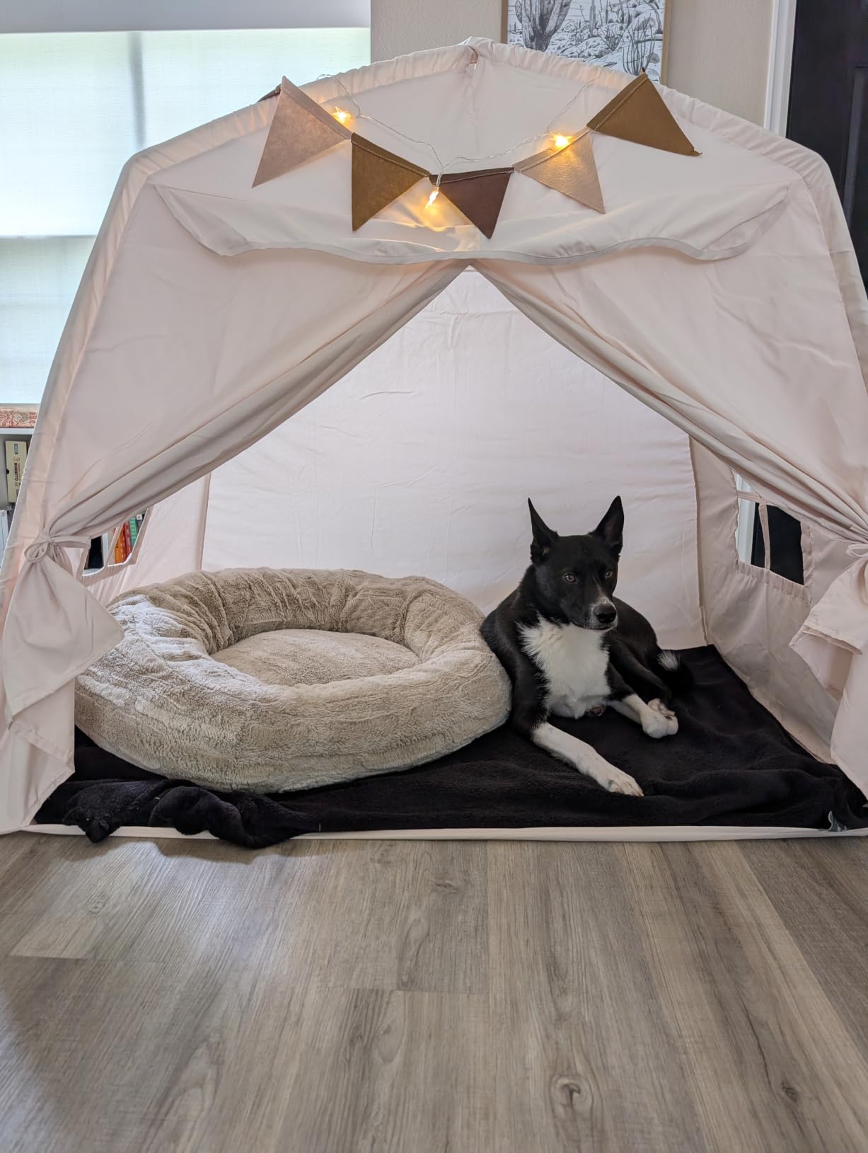 Little Dove Extra Large Kids Play Tent with Flags & Star Lights, Portable & Foldable Teepee Tents, Dome Tent Playhouse for Indoor & Outdoor Use, Kids Tent for Boys & Girls, 59x39x59 in, Cream customer photo 2