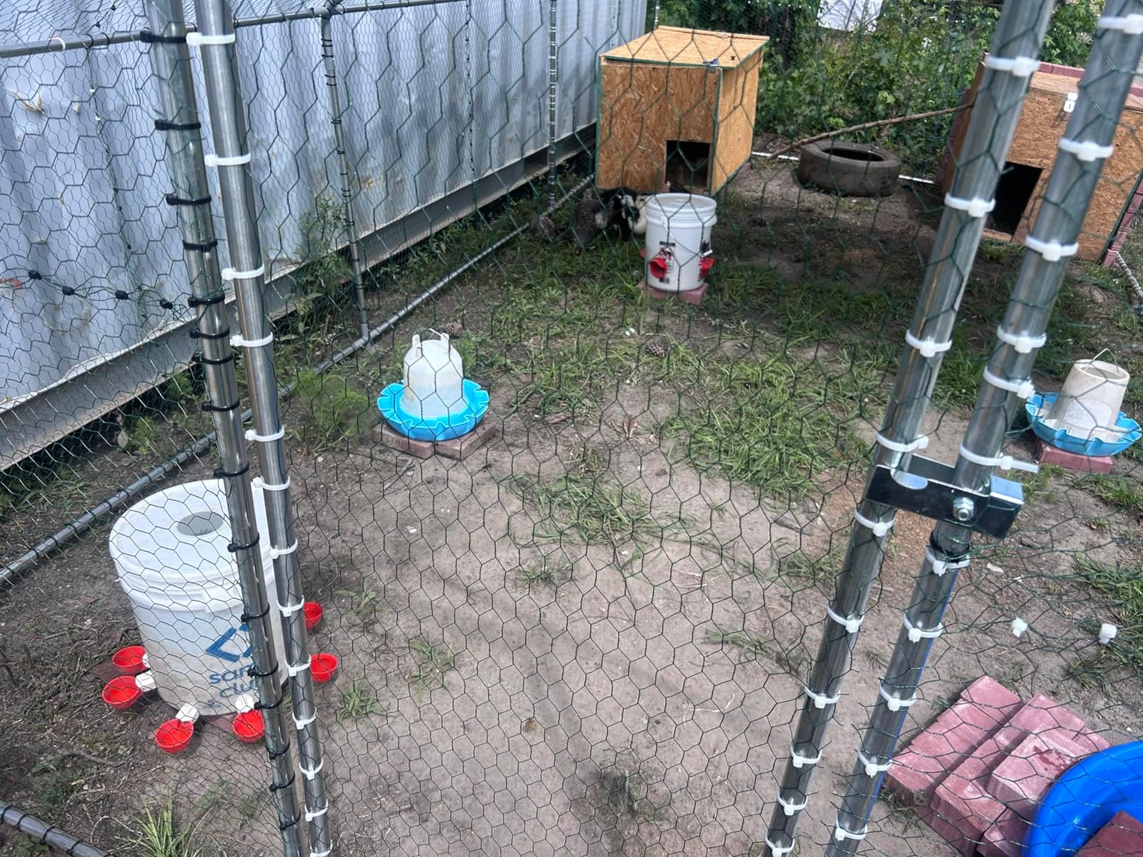 NUGRIART Large Metal Chicken Coop Walk-in Poultry Cage with Water-Resident and Anti-UV Cover Duck Rabbit Cat House Outdoor Chicken Run Pen with Spire Shaped Cage customer photo 1